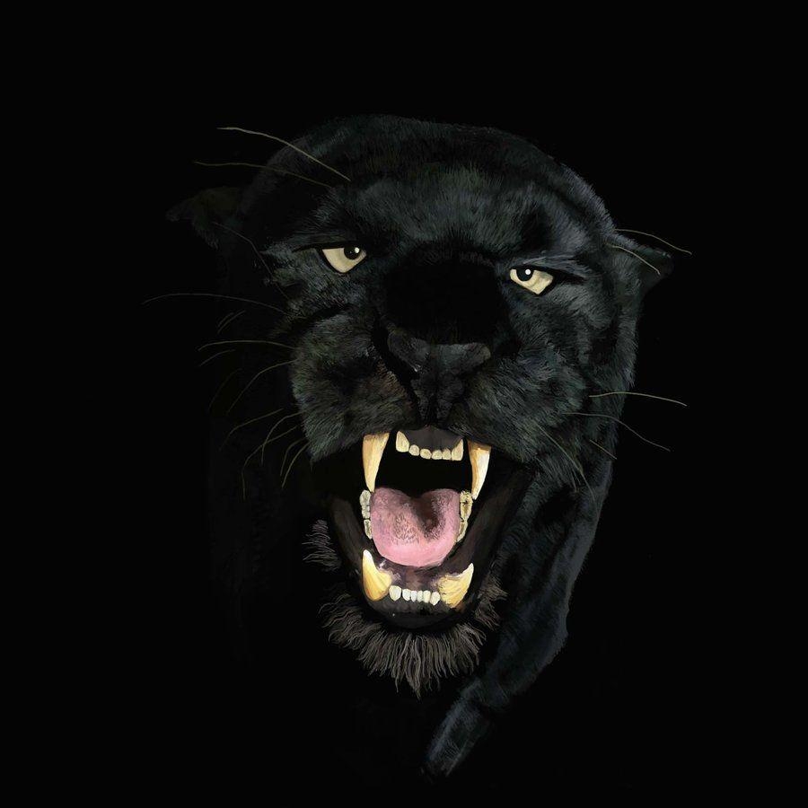 Panther, Tier, Hintergrund, Punktmuster, Wildkatze, 900x900 HD Handy