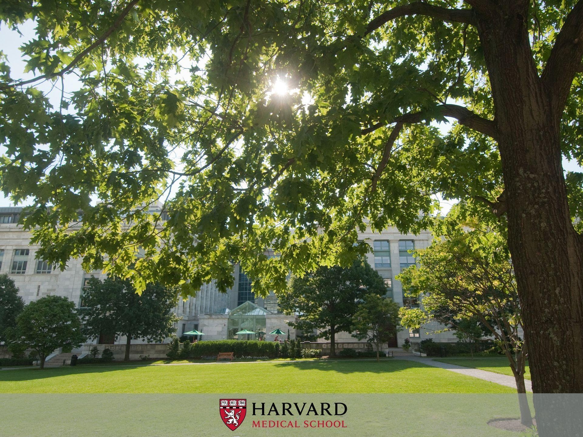 Harvard Universität, Ausbildung, USA, Tapete, Boston, 1920x1440 HD Desktop