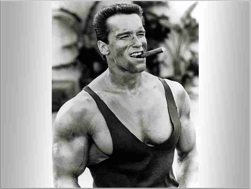 Arnold Schwarzenegger, Beste, Hintergrundbilder, Kostenlos, Download, 1040x780 HD Desktop