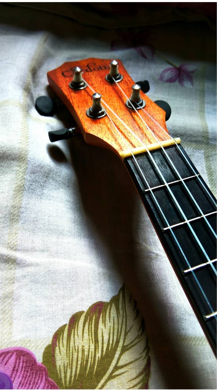 Ukulele, Musik, Ukulele-Bild, Hintergrund, Kunst, 720x1280 HD Handy