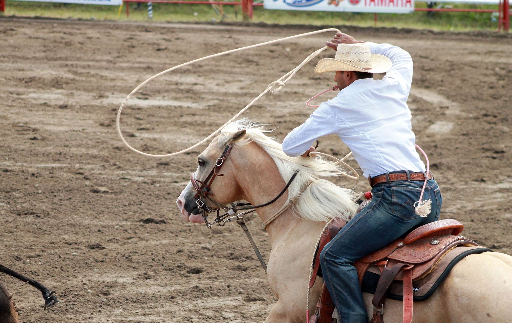 Cowboy, Pferd, Rodeo, Hintergrund, Western, 2000x1270 HD Desktop