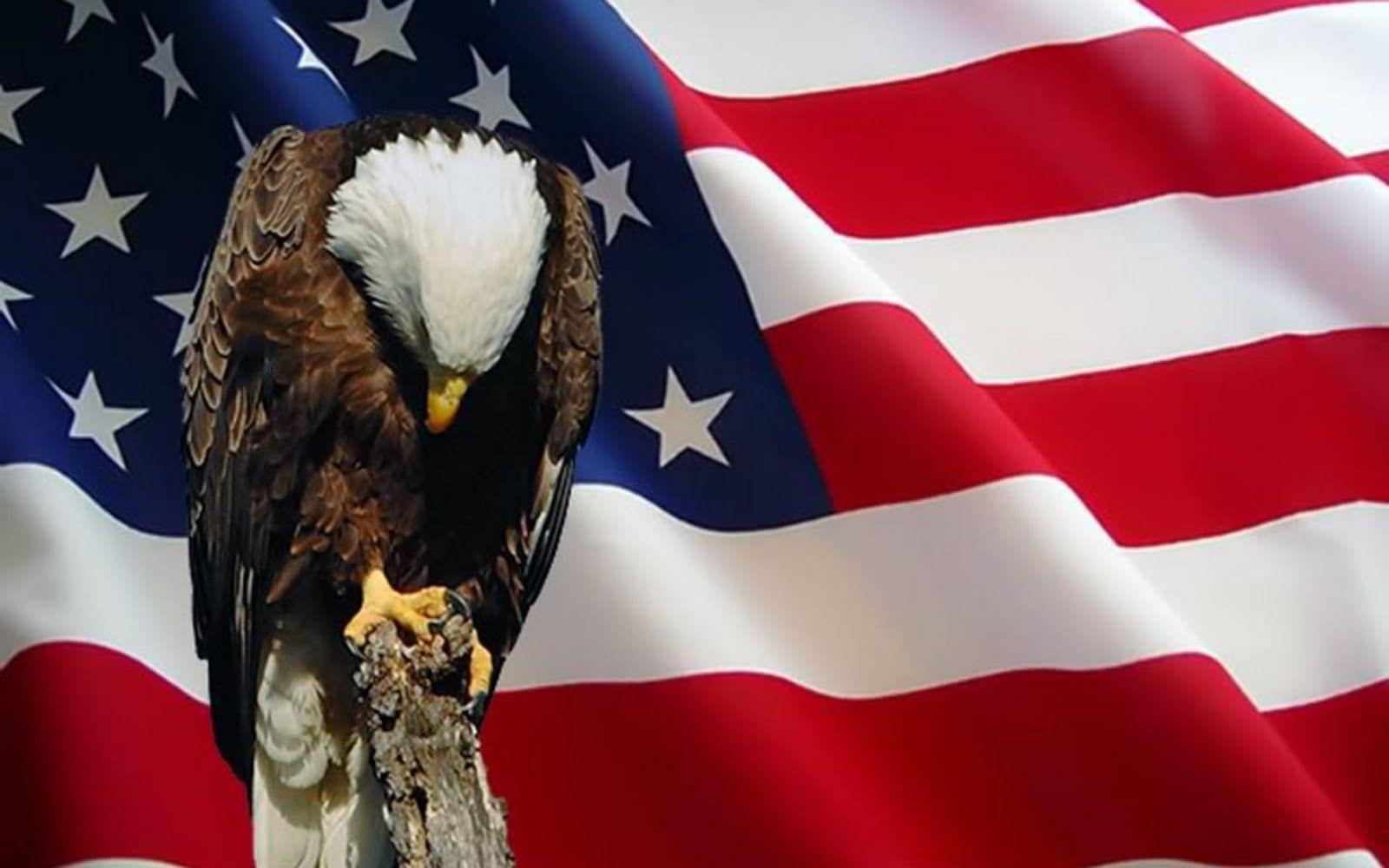 Memorial Day, Hintergrundbild, Bild, Feiertage, Wallpaper, 1600x1000 HD Desktop