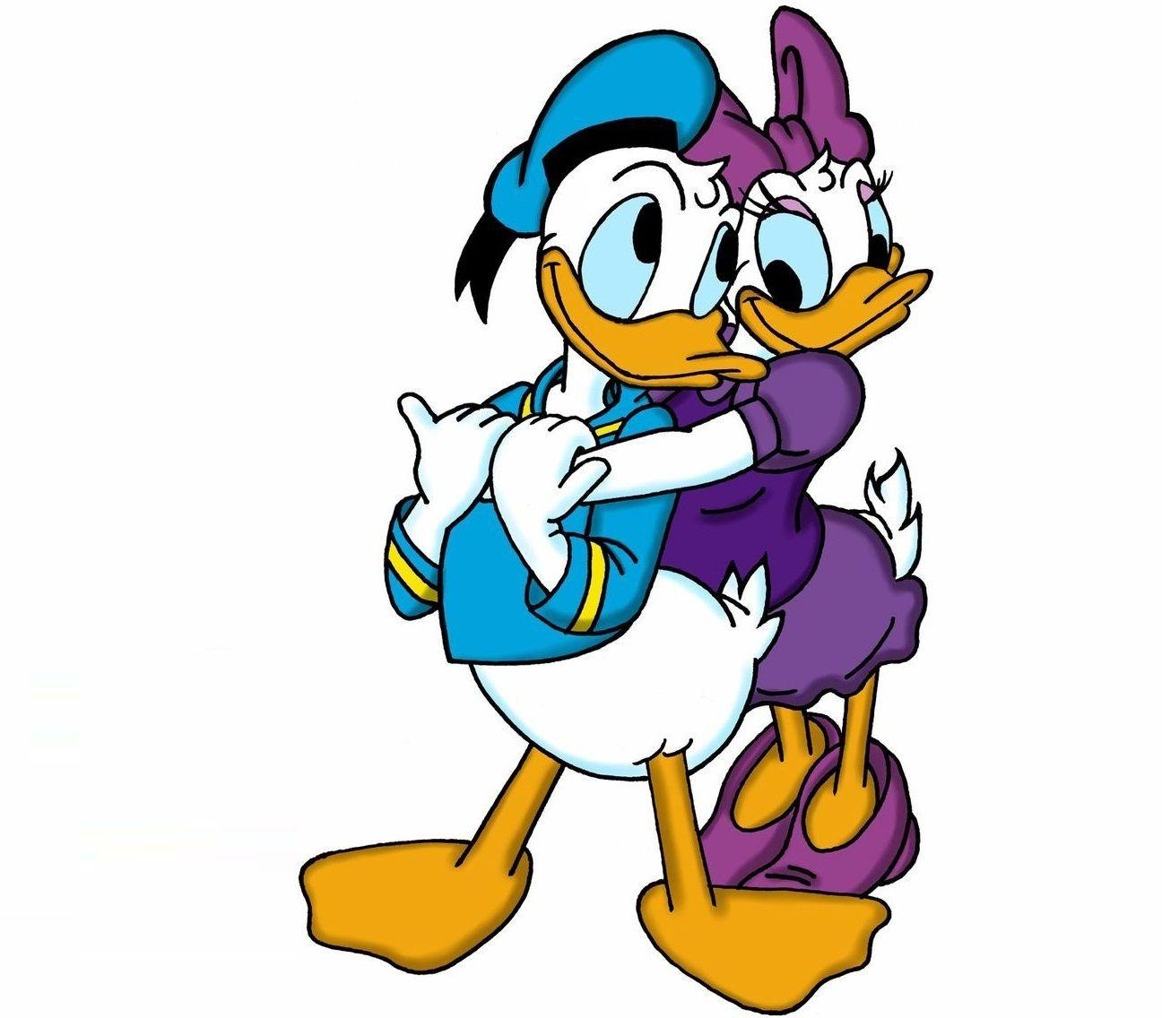 Walt Disney, Daisy Duck, Donald Duck, HD, Hintergrund, 1300x1140 HD Desktop