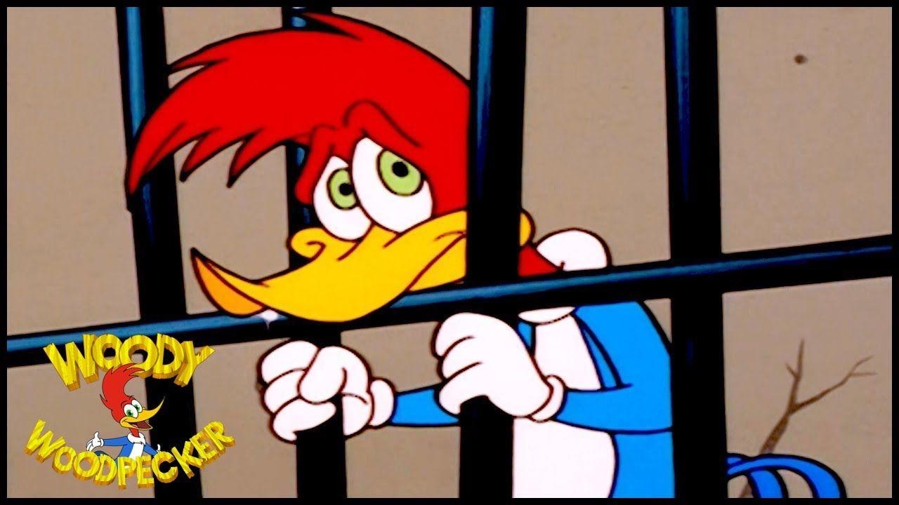 Woody Woodpecker, Cartoon, Show, Kinder, Compilation, 1280x720 HD Desktop