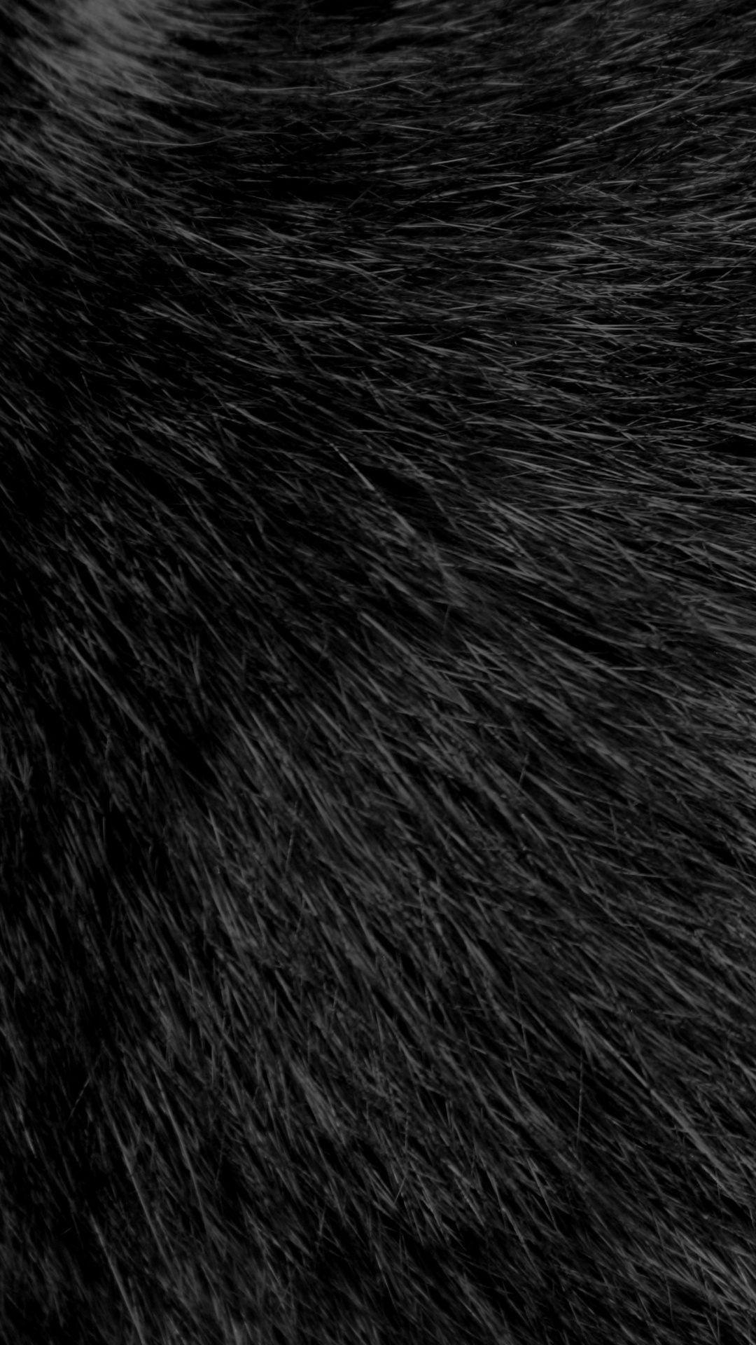 Schwarzes Fell, flauschig, Hintergrund, Textur, 1080x1920 Full HD Handy