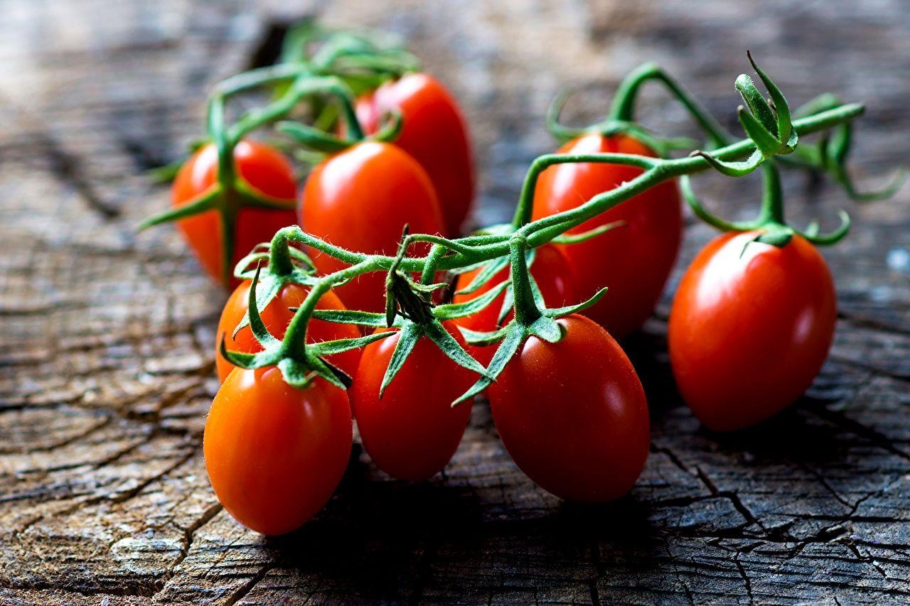 Tomaten, Lebensmittel, Zweige, Gemüse, Desktop, 1280x860 HD Desktop