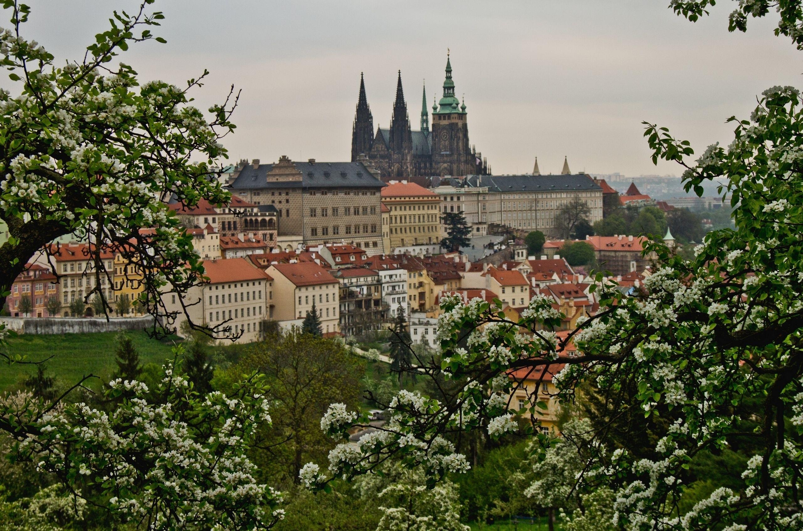 Prag, Tschechien, Frühlingsblick, Bäume, Blühen, 2560x1700 HD Desktop