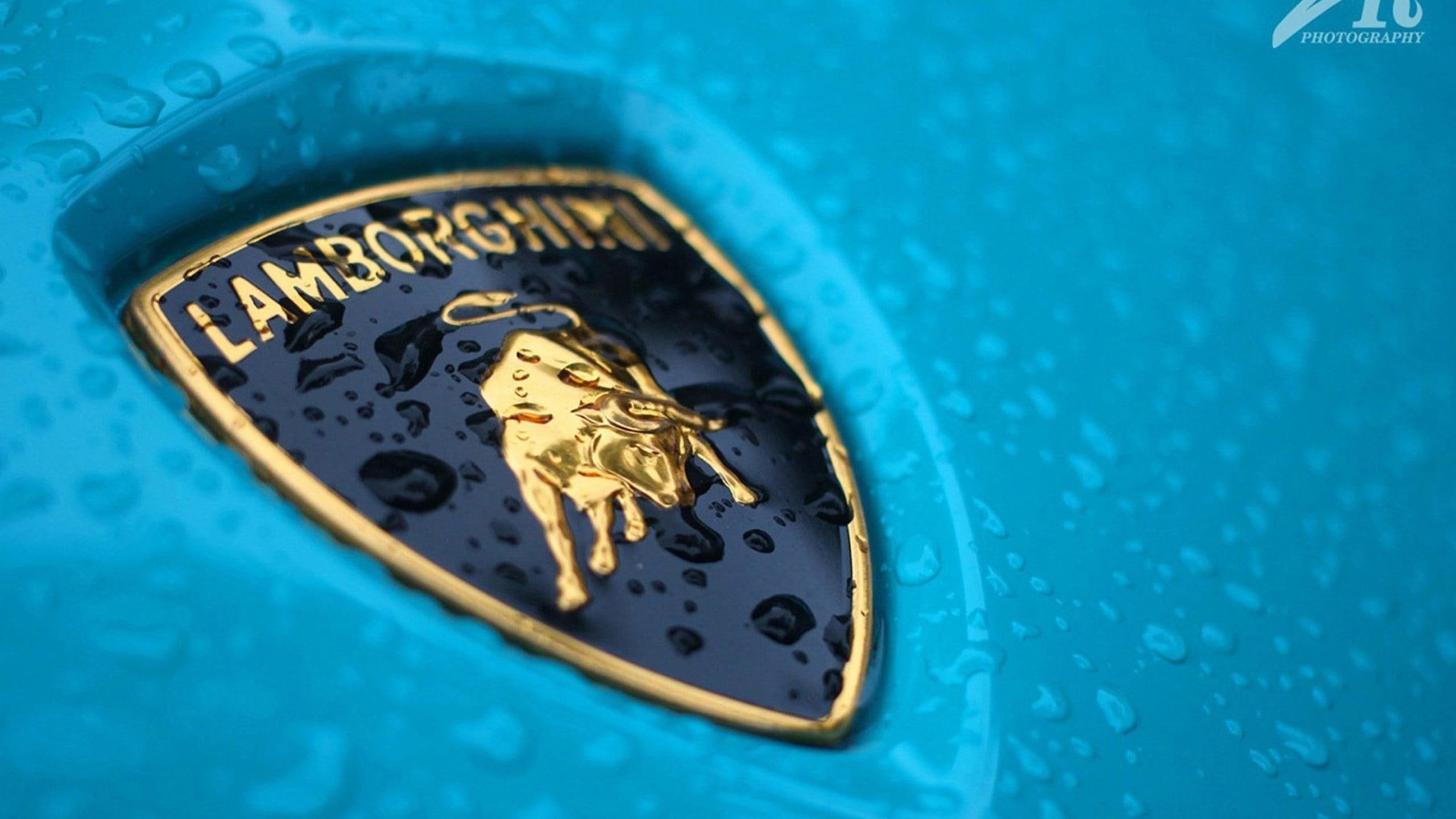 Lamborghini, Logo, Hochauflösung, Auto, Markenemblem, 2560x1440 HD Desktop