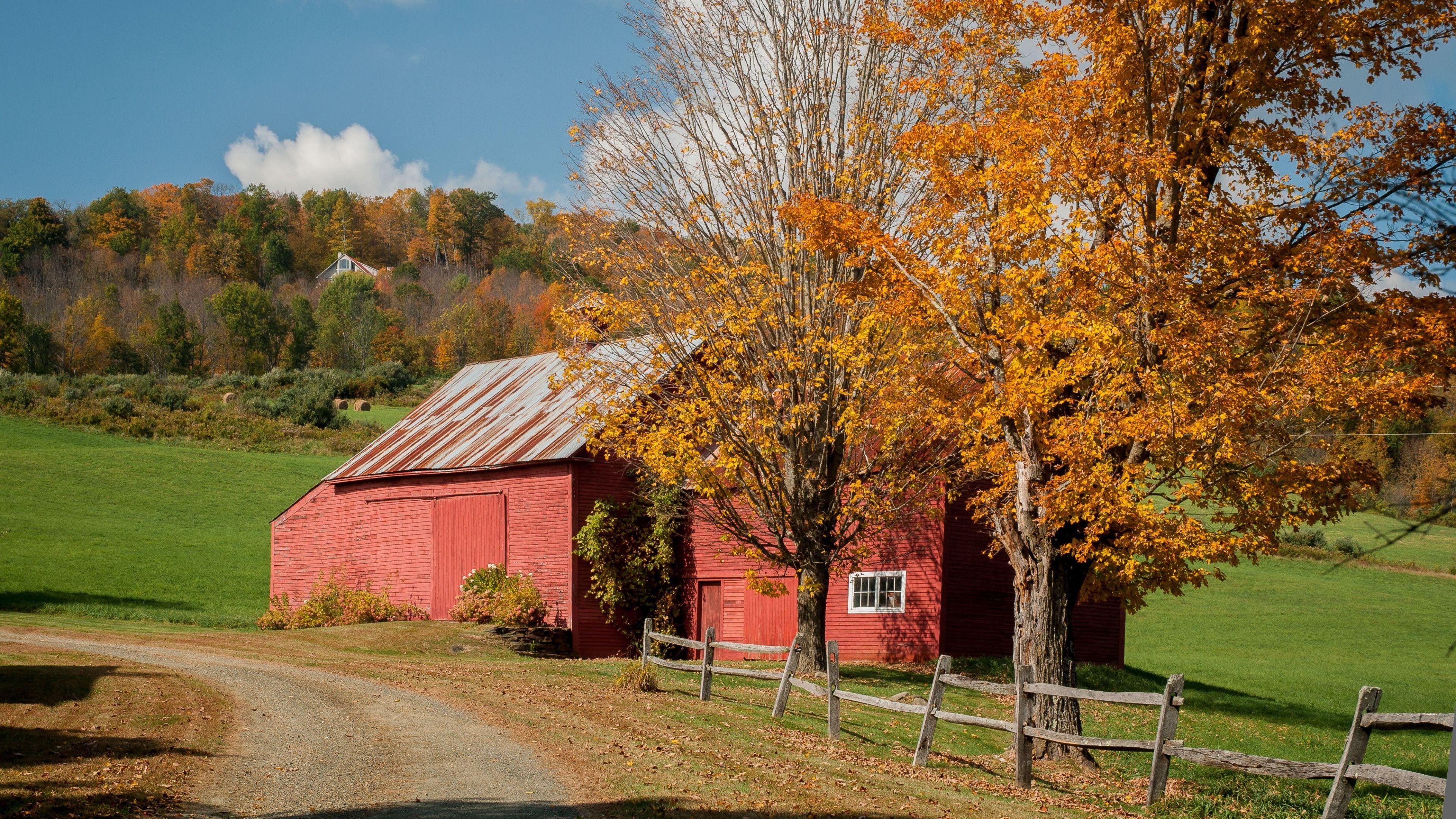 Herbst, Vermont, Farben, Laub, Natur, 3840x2160 4K Desktop