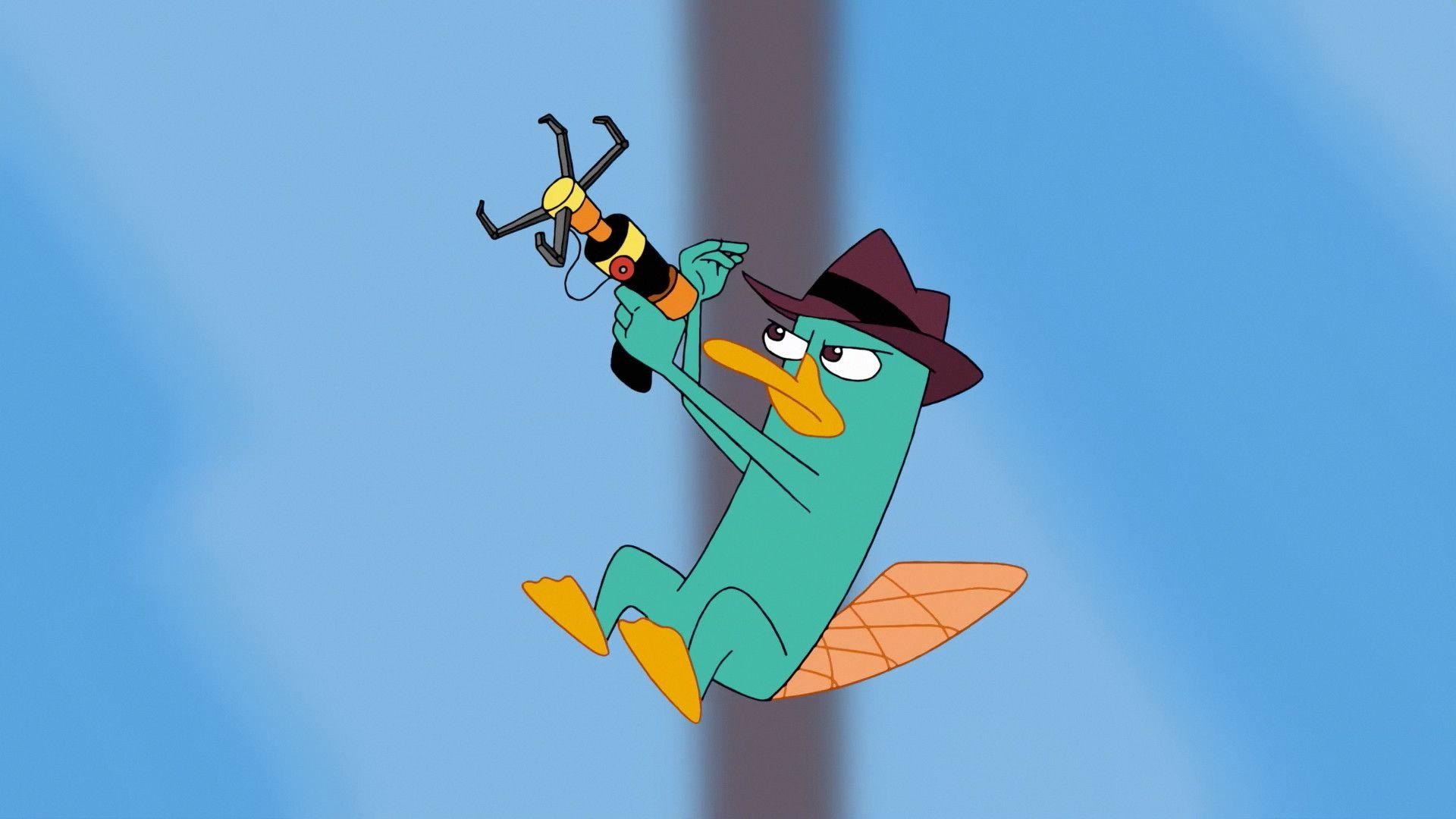 Perry das Schnabeltier, Abenteuer, Zeichentrickfigur, Disney, HD, 1920x1080 Full HD Desktop