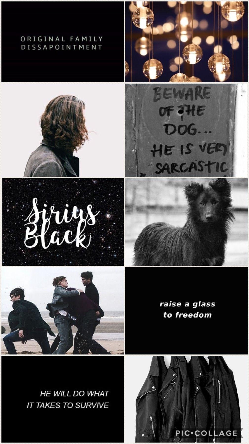 Sirius Black, Ästhetik, Harry Potter, Filme, Zaubererwelt, 1010x1800 HD Handy