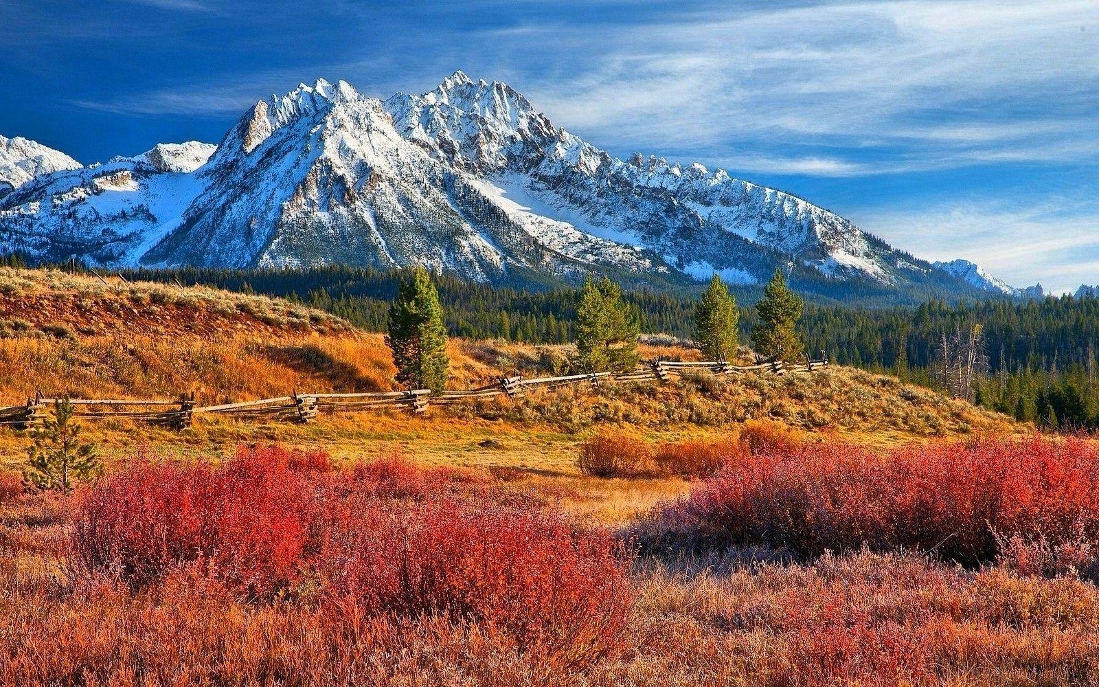 Idaho, Schneebedeckte Gipfel, Wald, Wiese, Berg, 1600x1000 HD Desktop