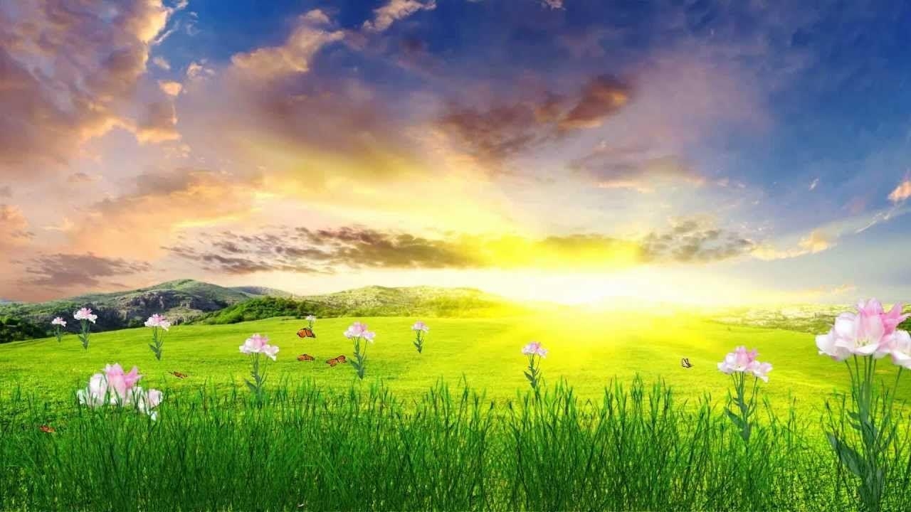 Frühling, Animiert, Freude, Natur, Lebendig, 1280x720 HD Desktop