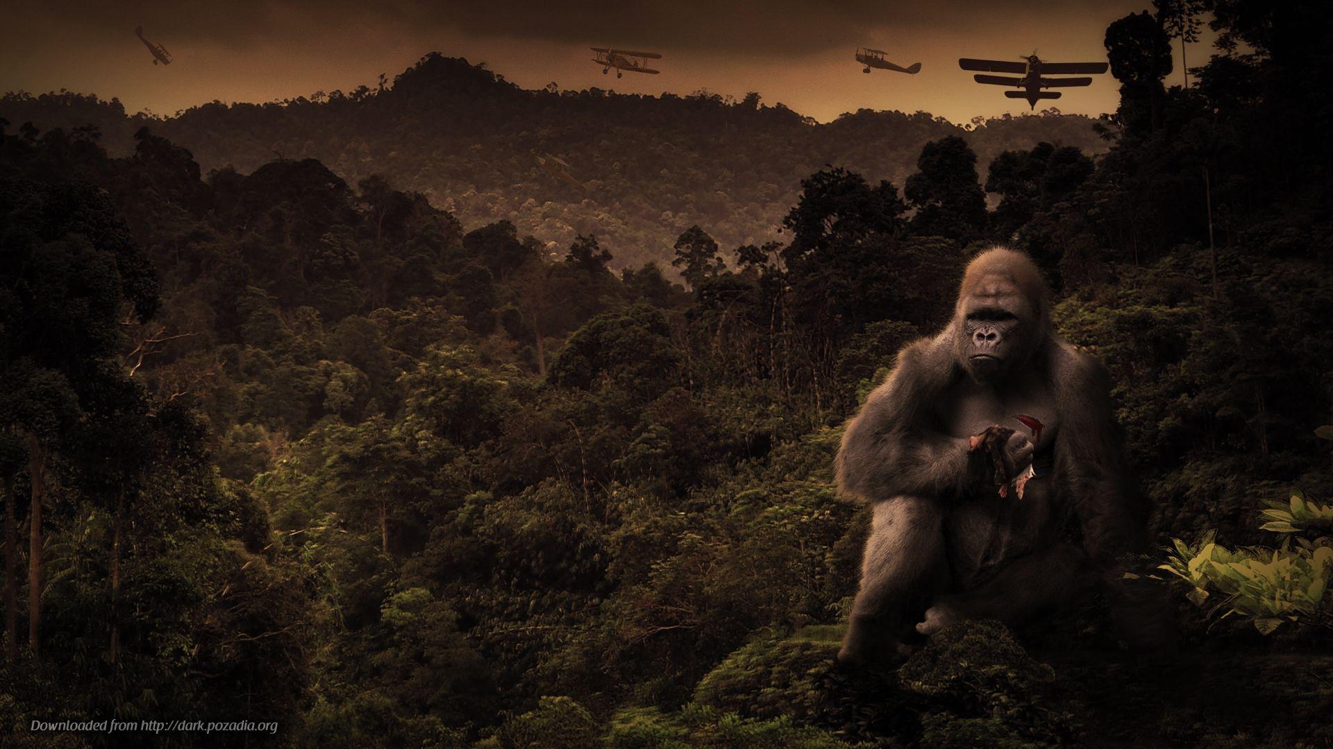 King Kong, Download, Bild, Film, Monster, 1920x1080 Full HD Desktop