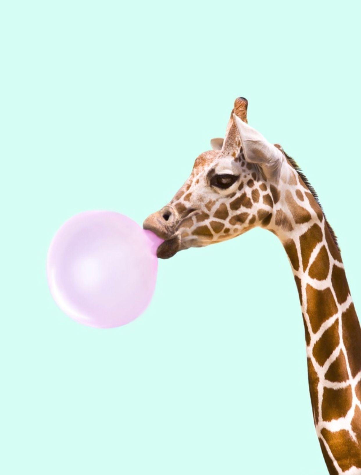 Bubblegum, Giraffe, Pop Art, Paul Fuentes, Hintergrund, 1250x1640 HD Handy