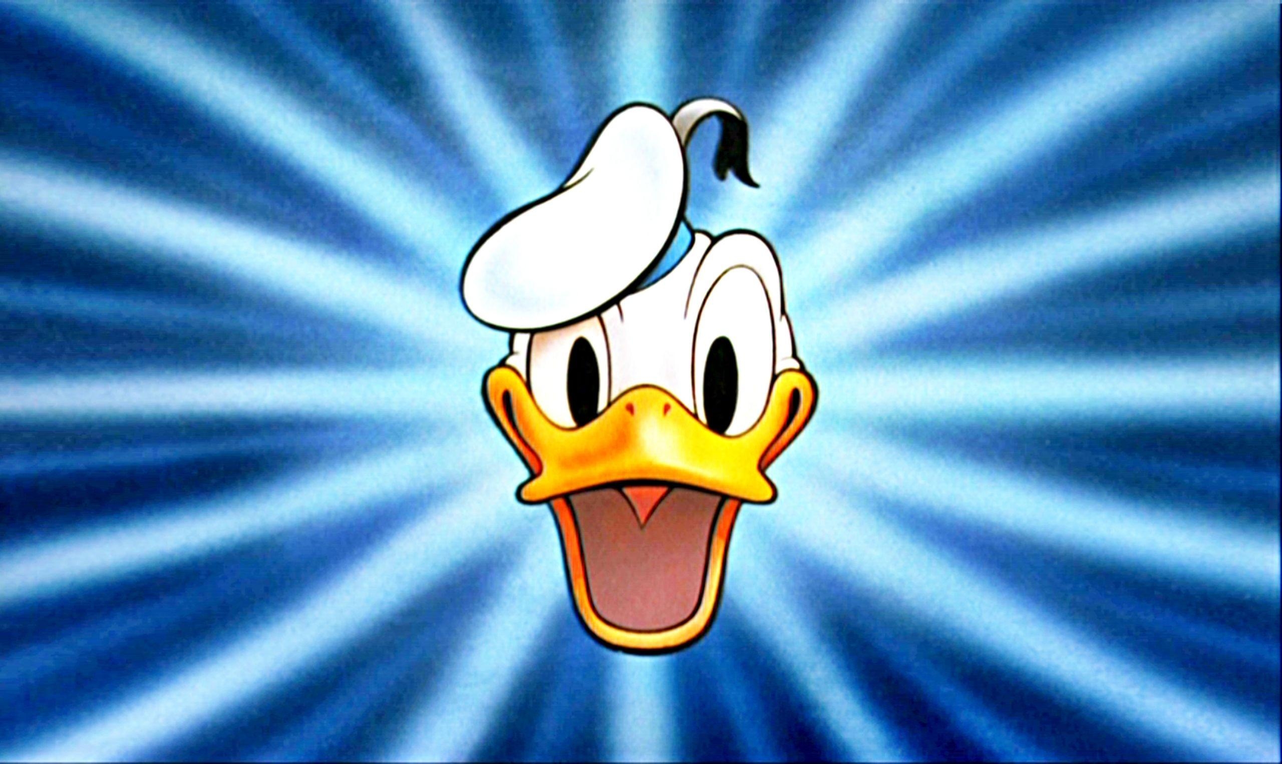 Donald Duck, HD, Animationsfilm, Klassiker, Beliebt, 2560x1530 HD Desktop