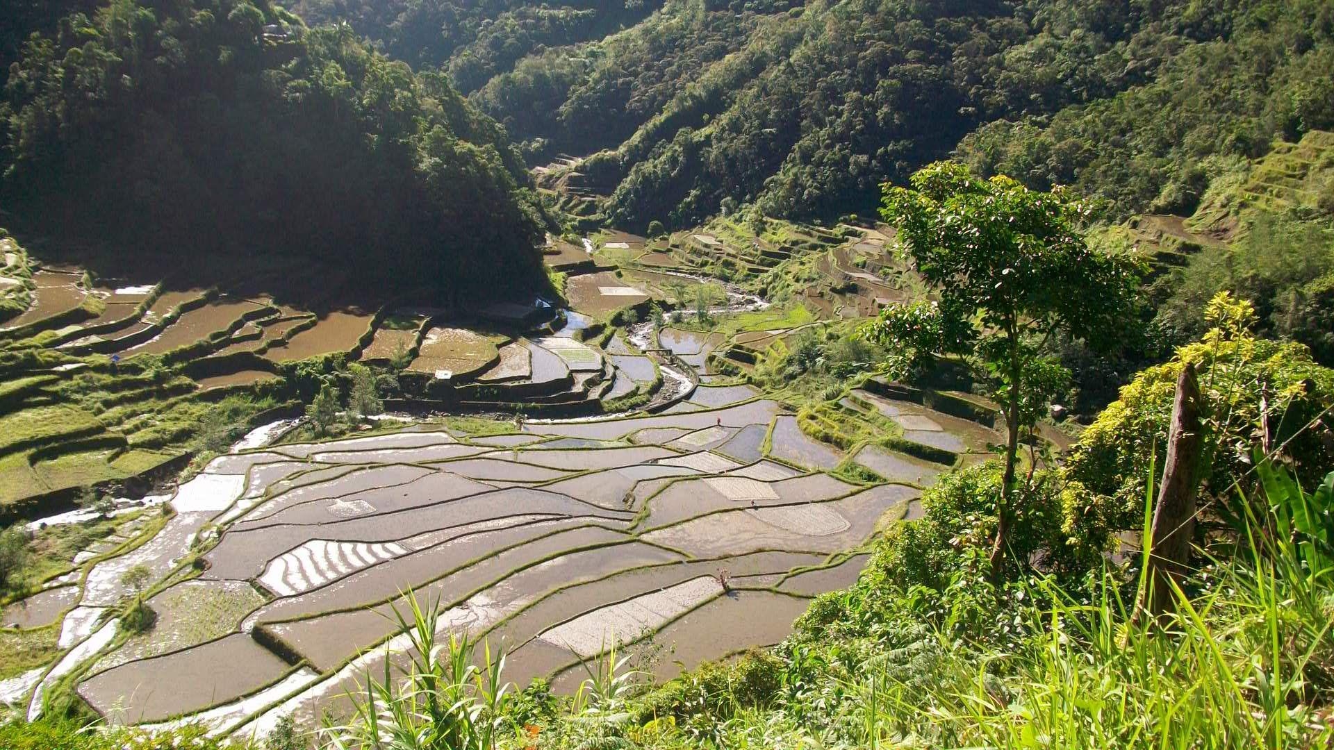 Unberührte Natur, Banaue, Reisterrassen, Fotografie, Landschaft, 1920x1080 Full HD Desktop