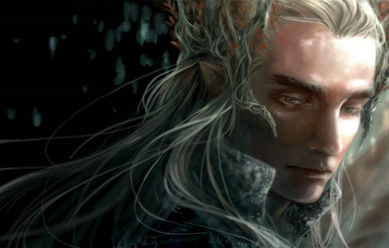 Thranduil, Elf, Fantasy, Herr der Ringe, Kunst, 1340x850 HD Desktop