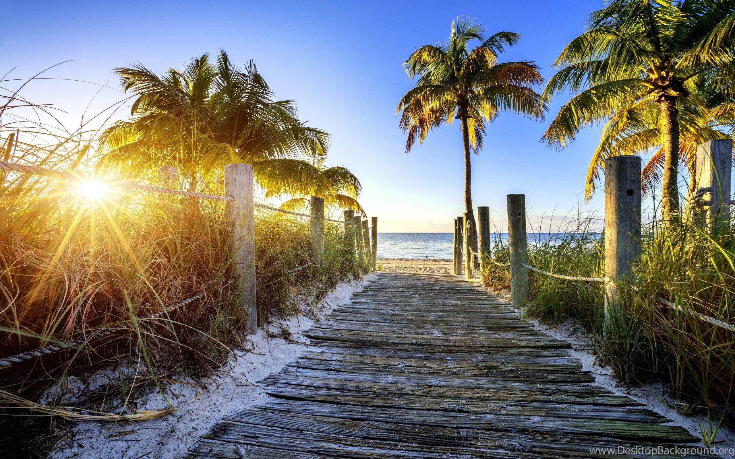 Florida, Reisen, Desktop-Hintergrund, Landschaft, USA, 2560x1600 HD Desktop