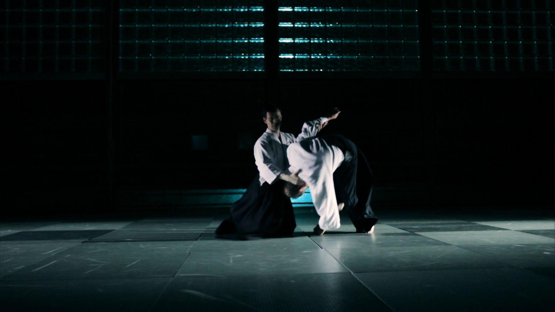 Aikido, Bild, Kampfkunst, Technik, Dojo, 1920x1080 Full HD Desktop