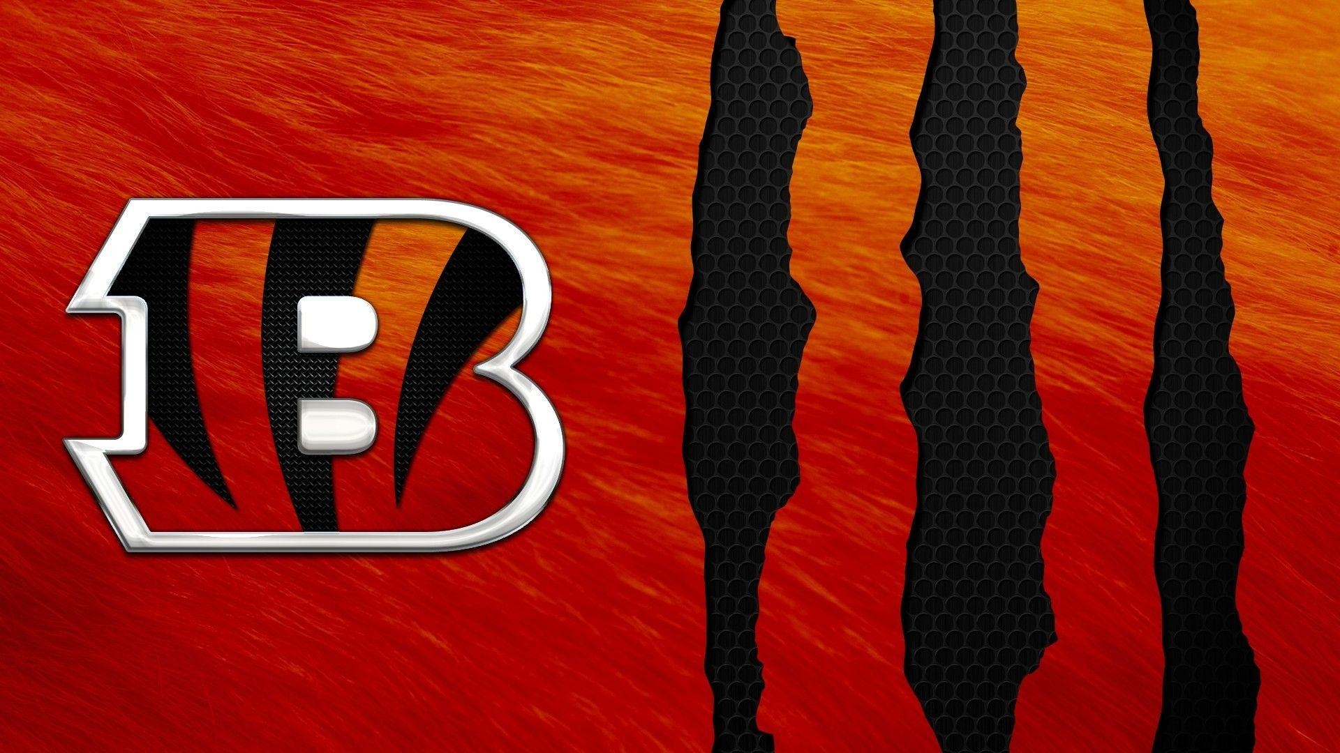 Cincinnati Bengals, Fans, Hintergrund, Sport, 1920x1080 Full HD Desktop