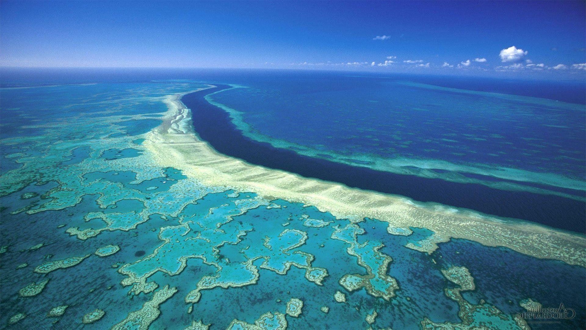 Great Barrier Reef, Korallen, Meer, Natur, Unterwasserwelt, 1920x1080 Full HD Desktop