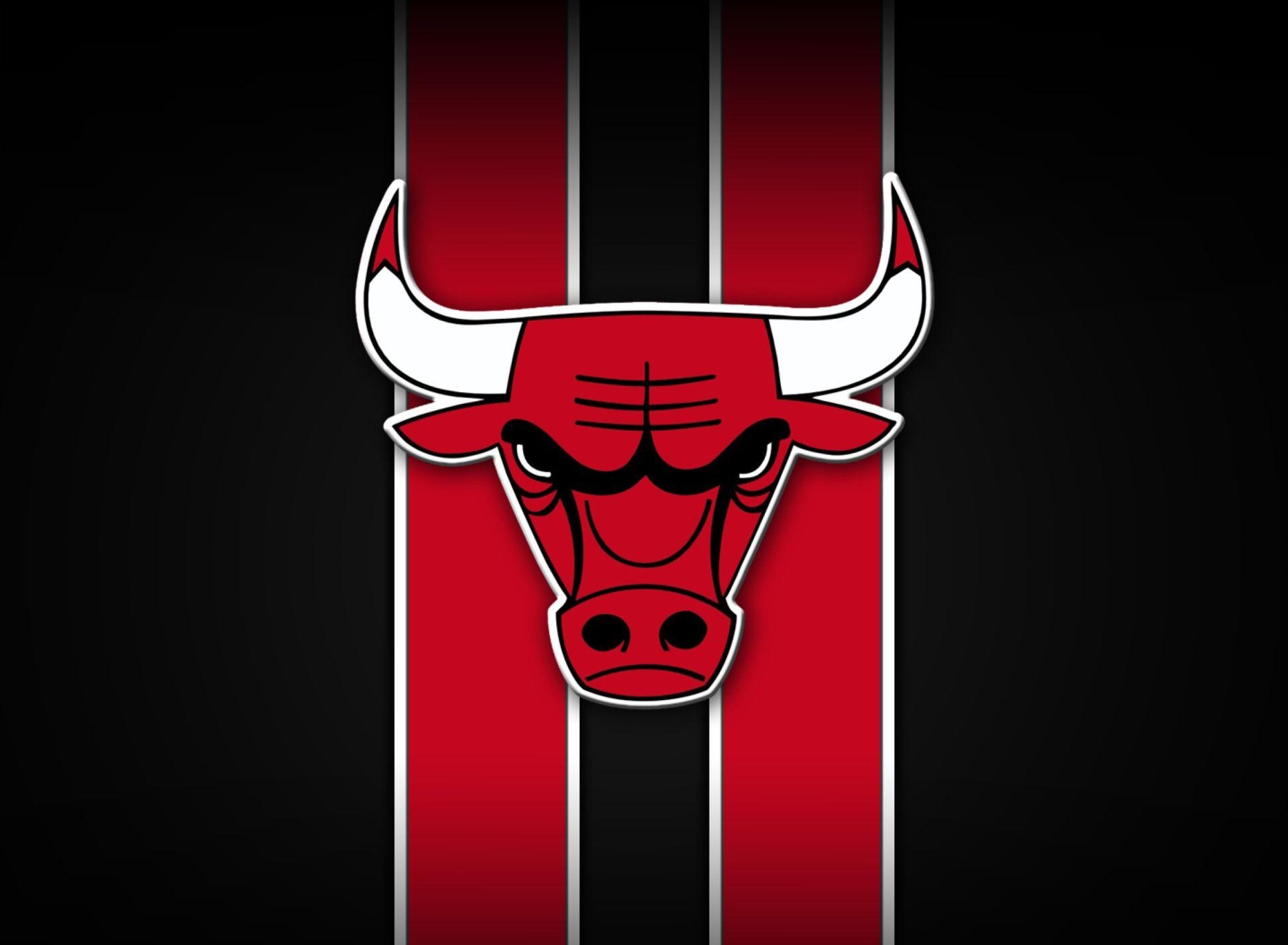 Chicago Bulls, Kunst, Sport, Illustrationen, NBA, 1920x1410 HD Desktop