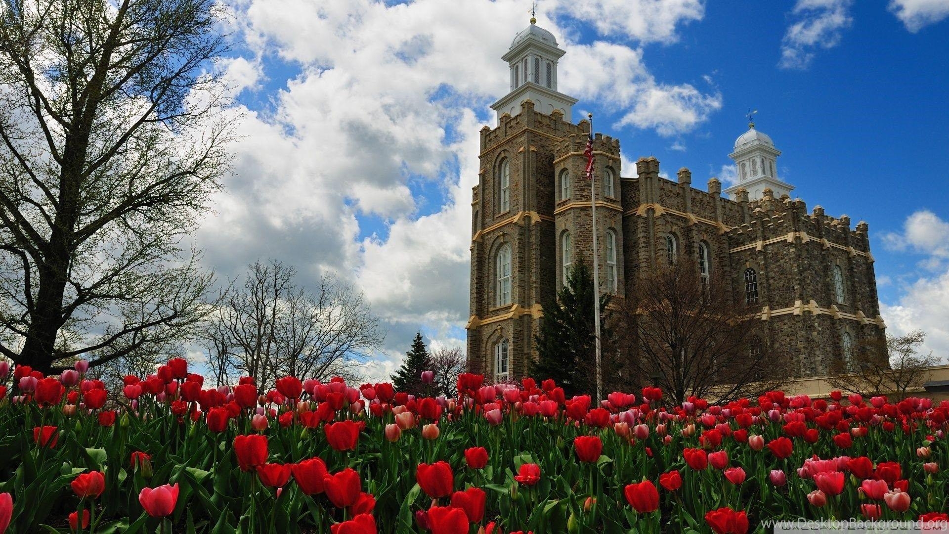 LDS Tempel, Desktop, Reisen, Utah, Hintergrundbild, 1920x1080 Full HD Desktop