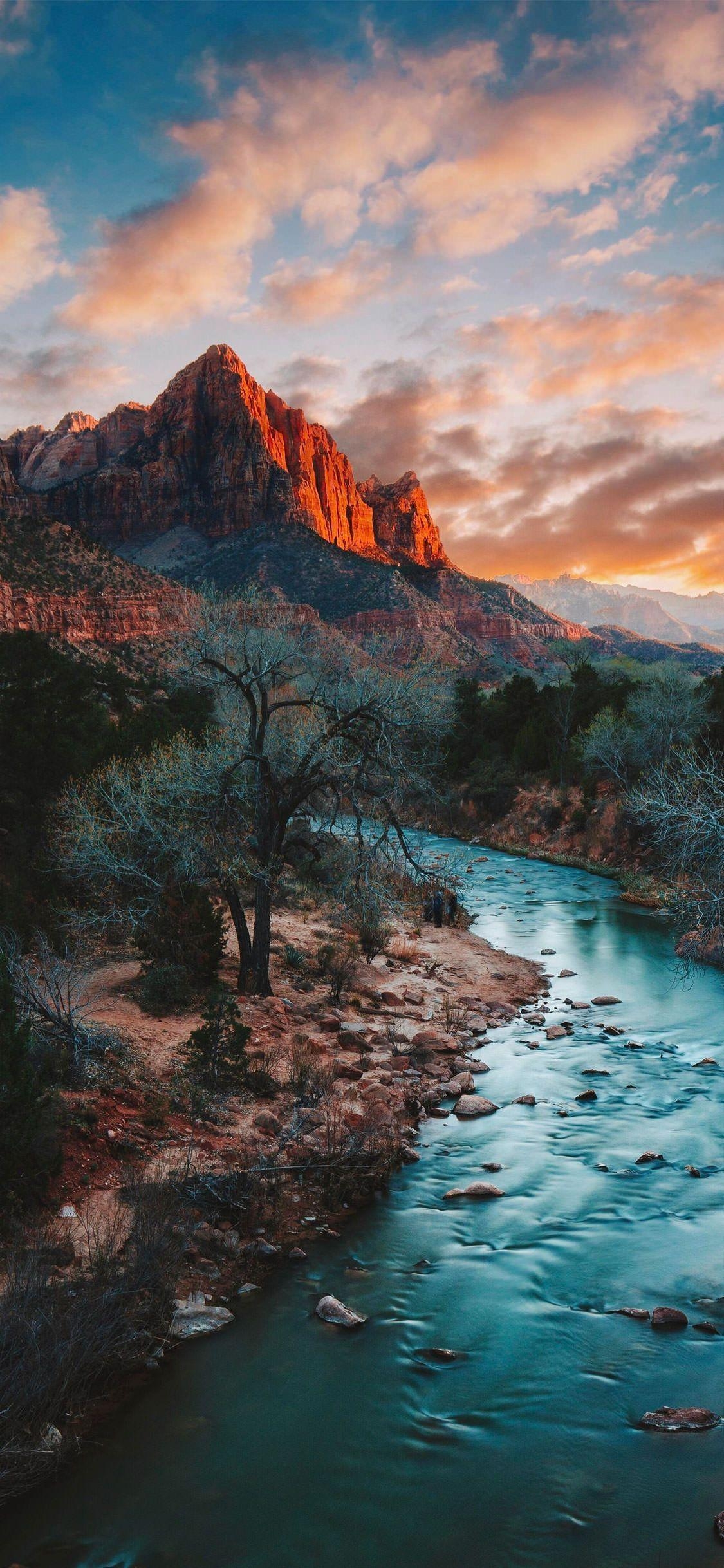 Zion Nationalpark, Watchman, Brücke, Utah, Landschaft, 1130x2440 HD Handy