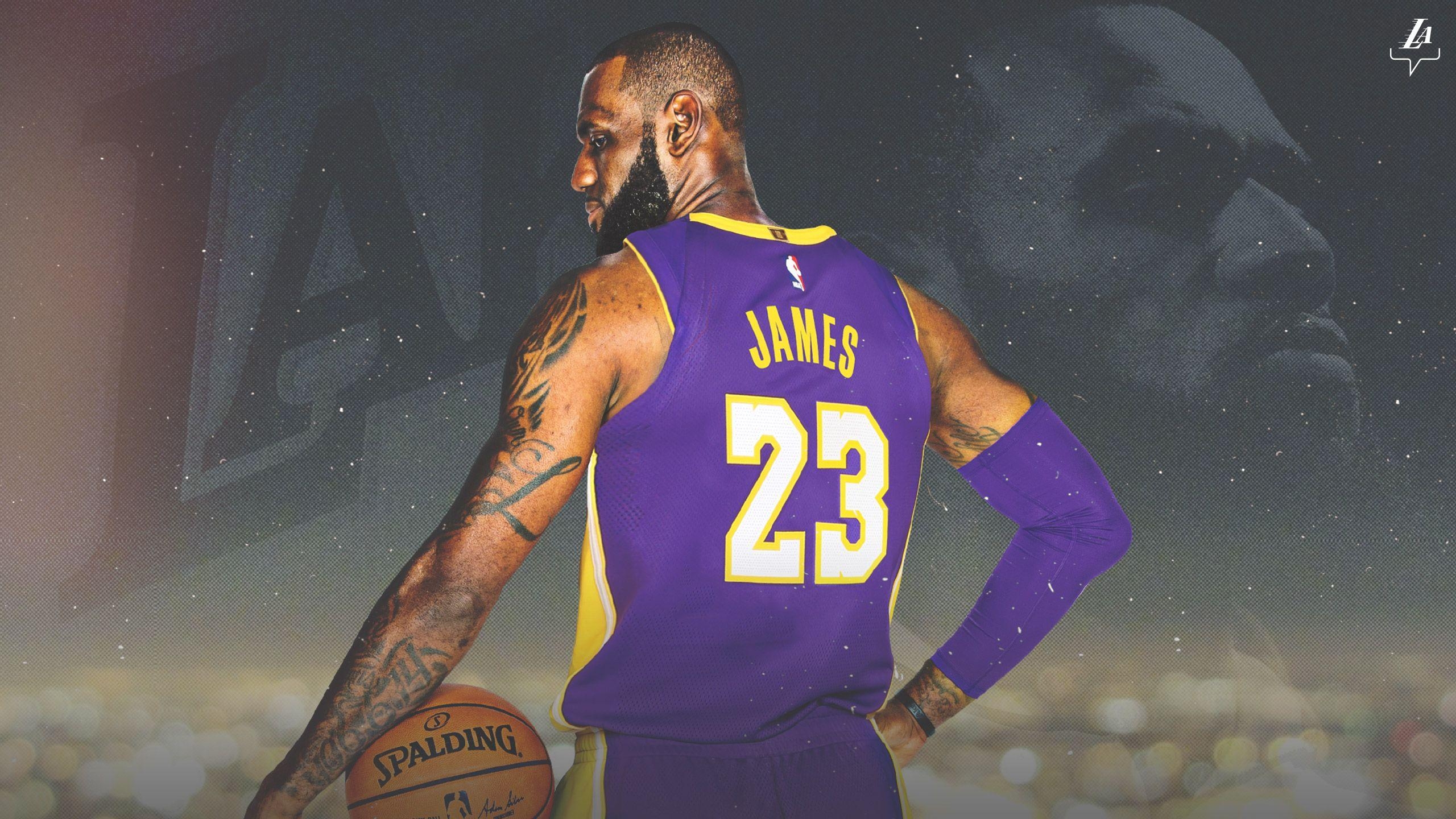 LeBron James, Los Angeles Lakers, Sport, Basketball, Hintergrund, 2560x1440 HD Desktop