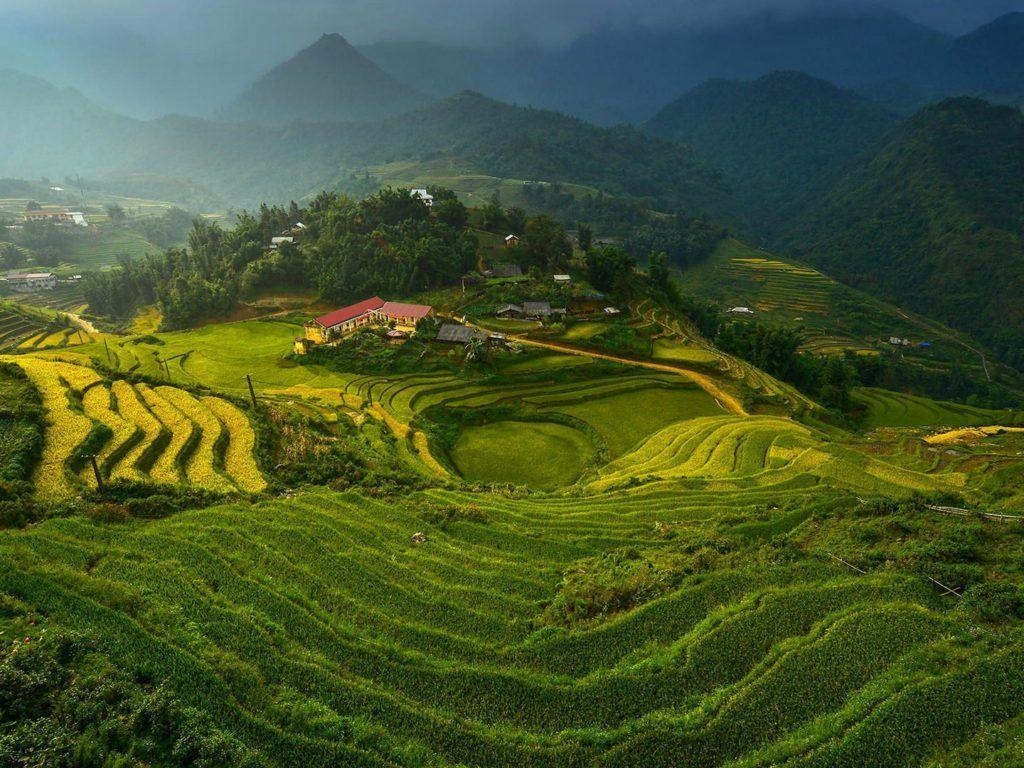 Reisterrassen, Vietnam, HD, Desktop, Natur, 1030x770 HD Desktop