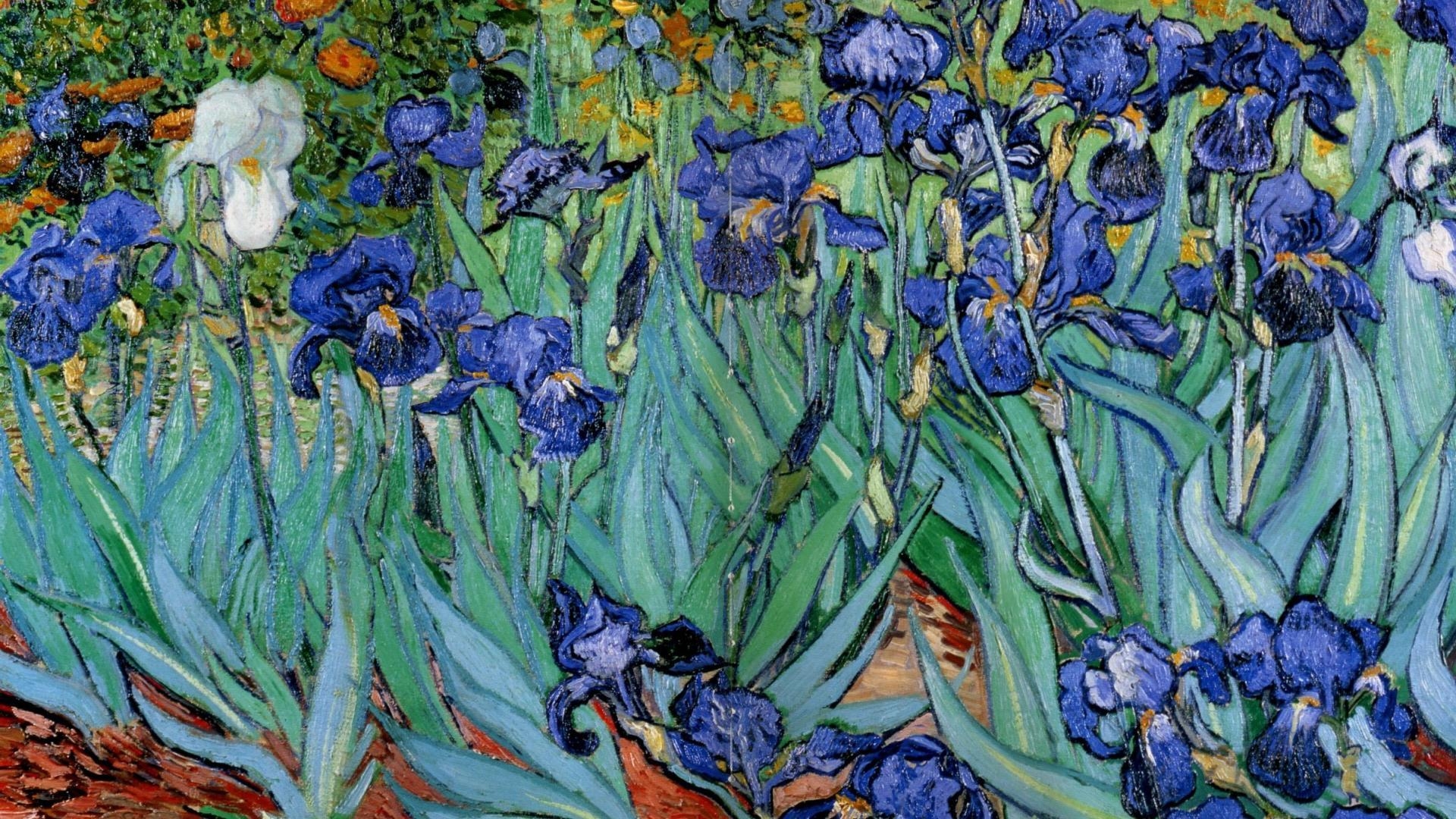 Vincent van Gogh, Gemälde, Kunstwerk, Malerei, Meisterwerk, 1920x1080 Full HD Desktop