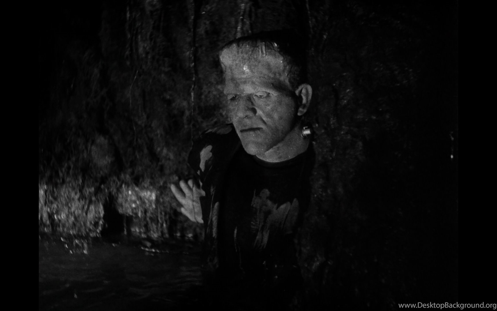 Universal Monsters, Sammlung, Klassiker, Blu-ray, Kino, 1680x1050 HD Desktop