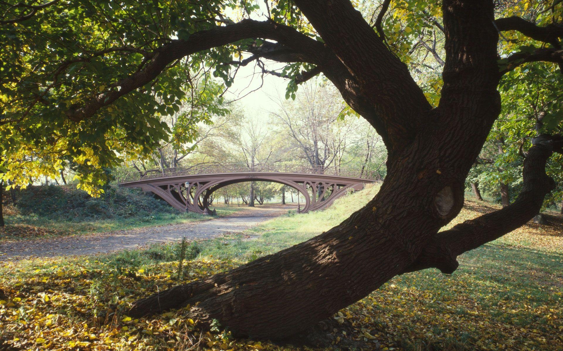 Central Park, HD, Bild, USA, Hintergrund, 1920x1200 HD Desktop