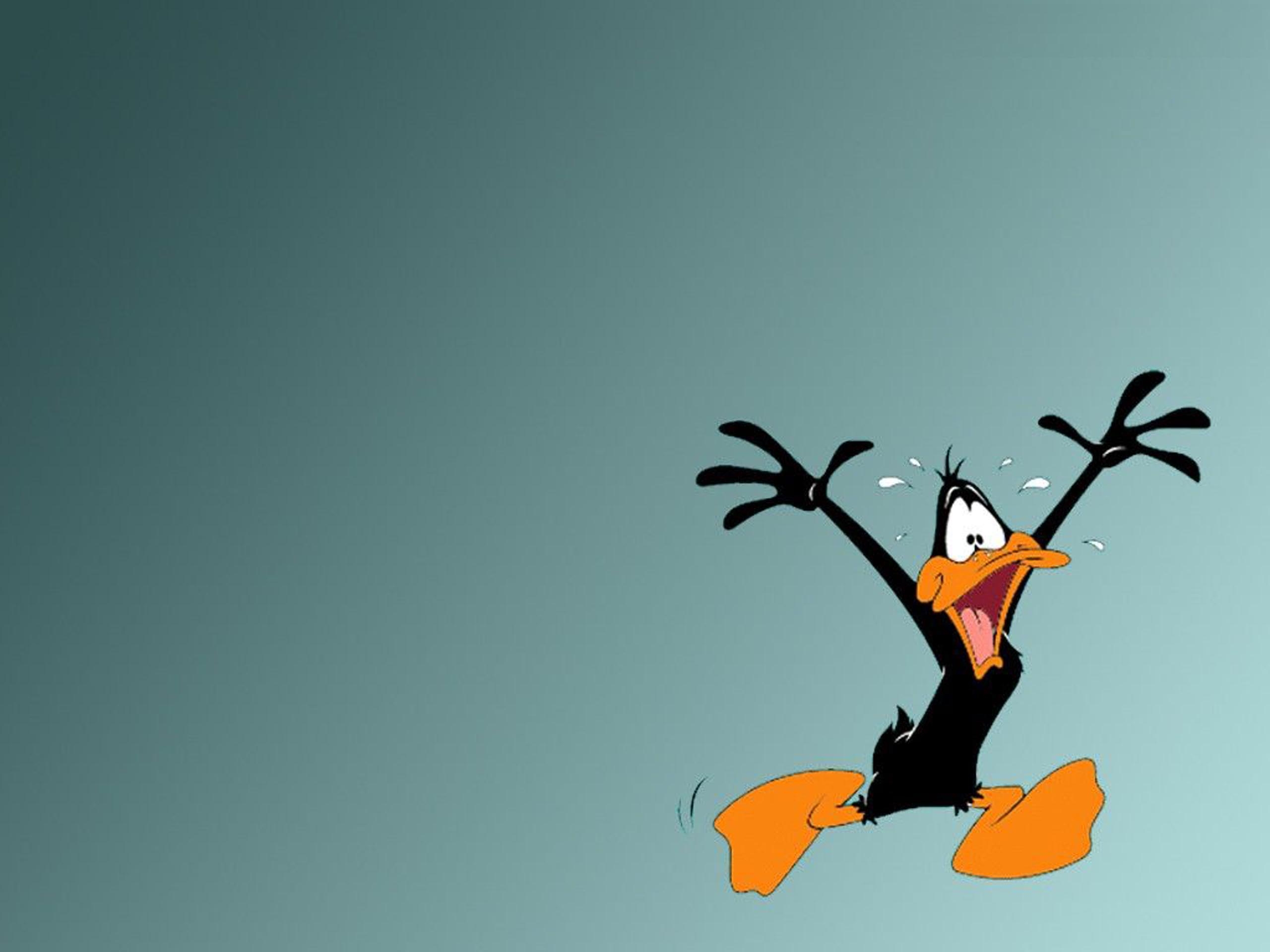 Daffy Duck, Looney Tunes, HD, Qualität, Cartoon, 2560x1920 HD Desktop