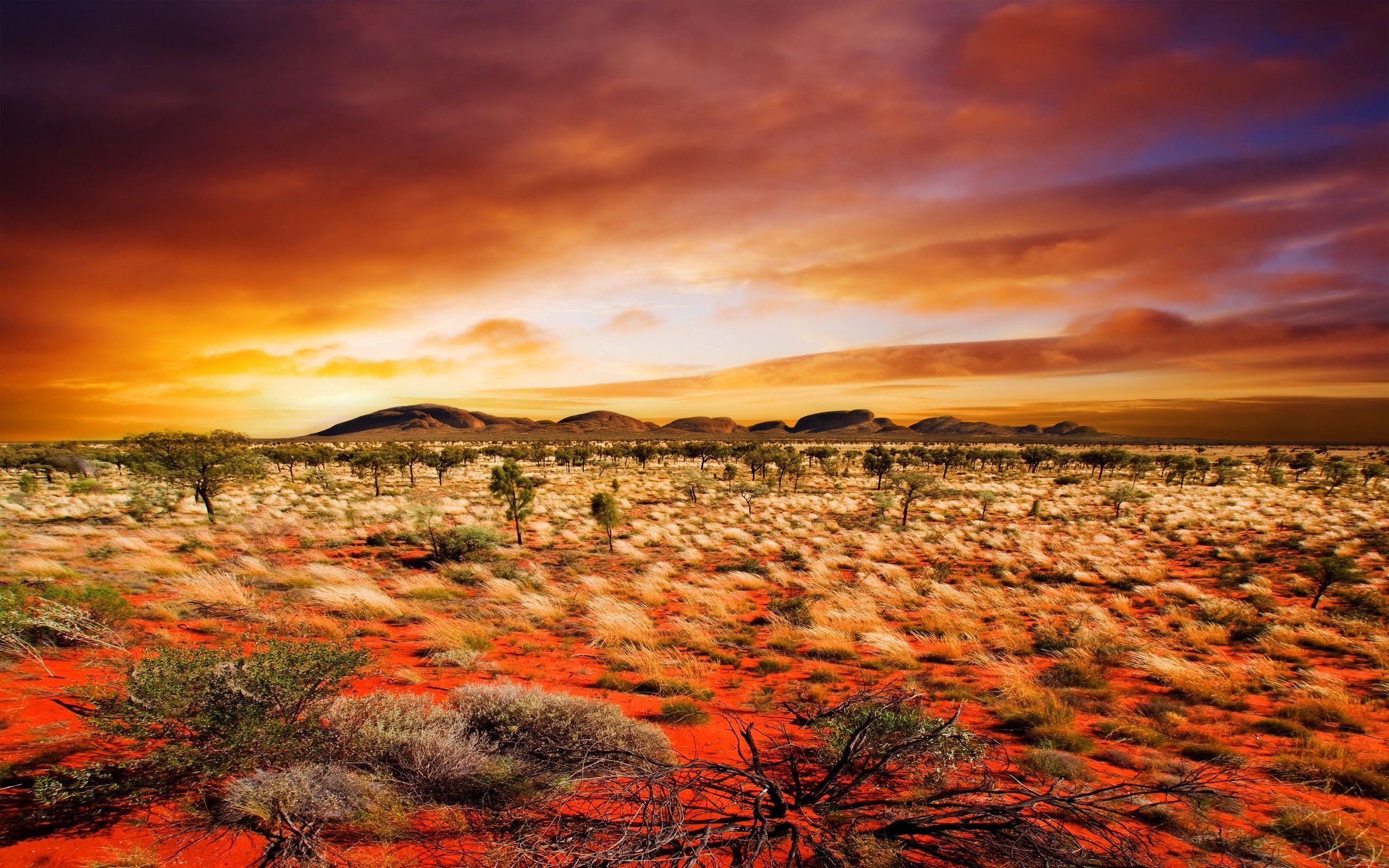 Wüste, Landschaft, schöne, Natur, trocken, 2560x1600 HD Desktop