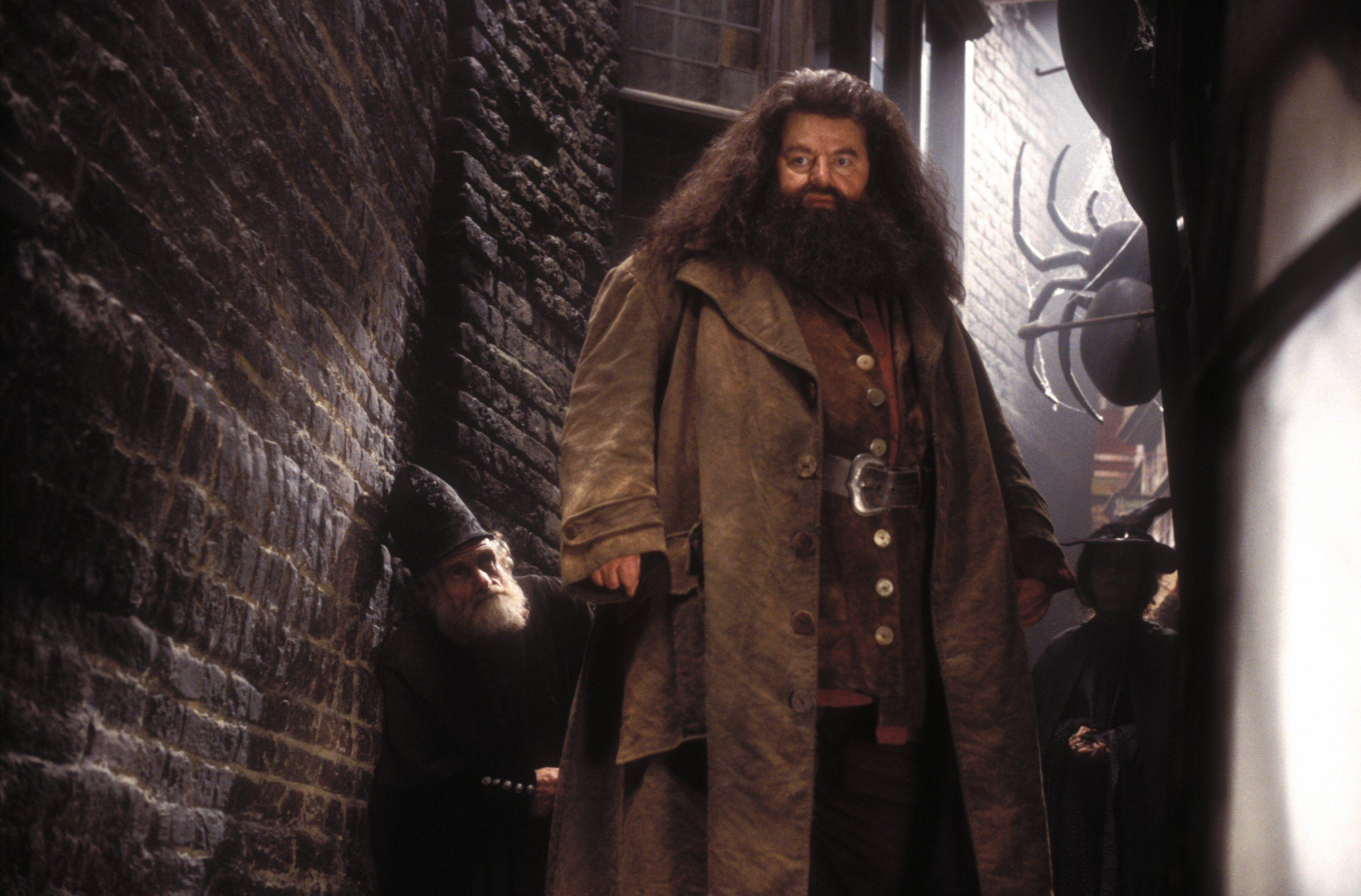 Rubeus Hagrid, Filmcharakter, Hogwarts, Zaubererwelt, Hintergrund, 3000x1980 HD Desktop