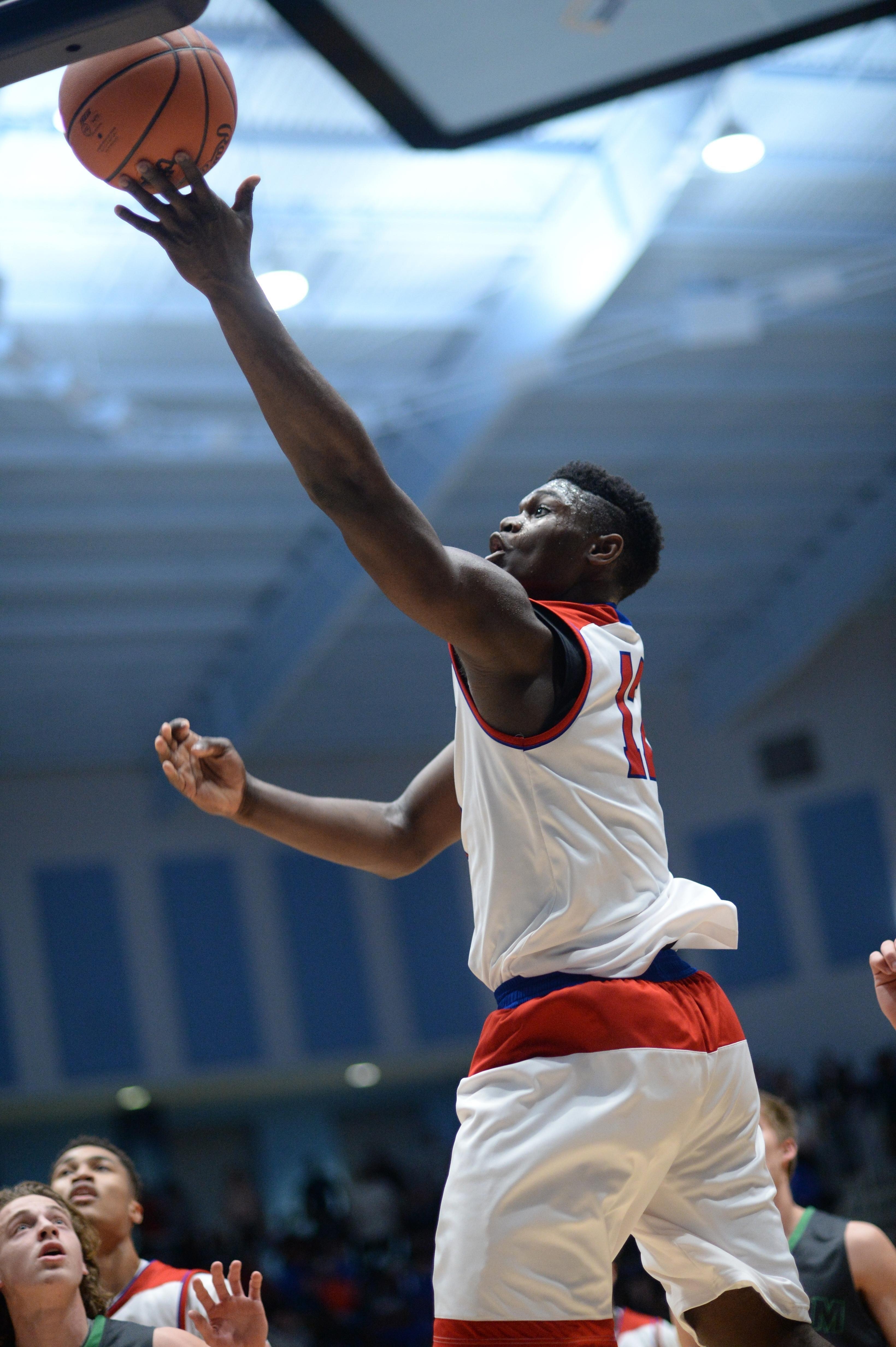 Zion Williamson, Popularität, Show, Basketball, Sport, 3280x4930 4K Handy