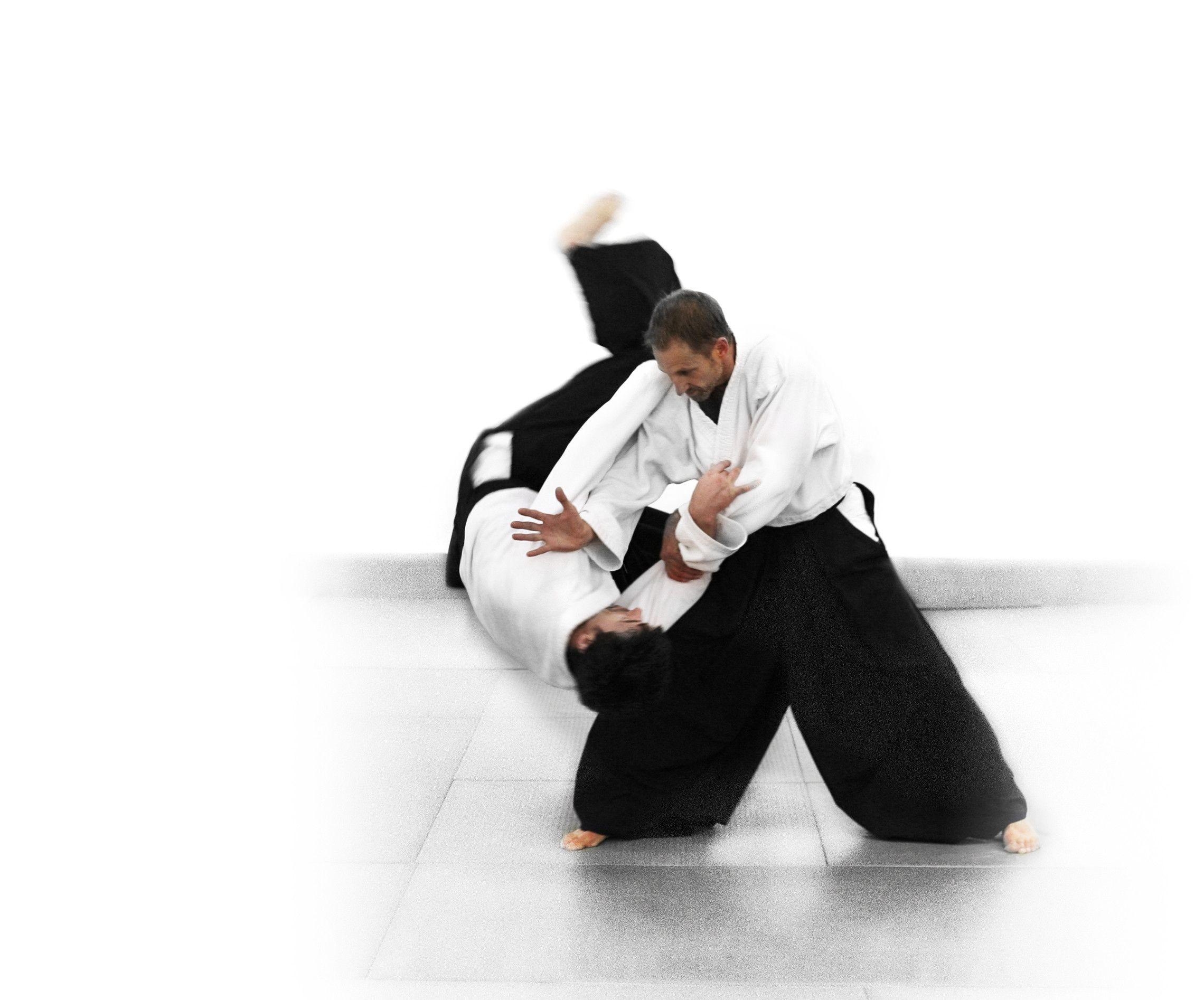 Aikido, Hintergrund, Bilder, Kampfsport, Herunterladen, 2280x1900 HD Desktop