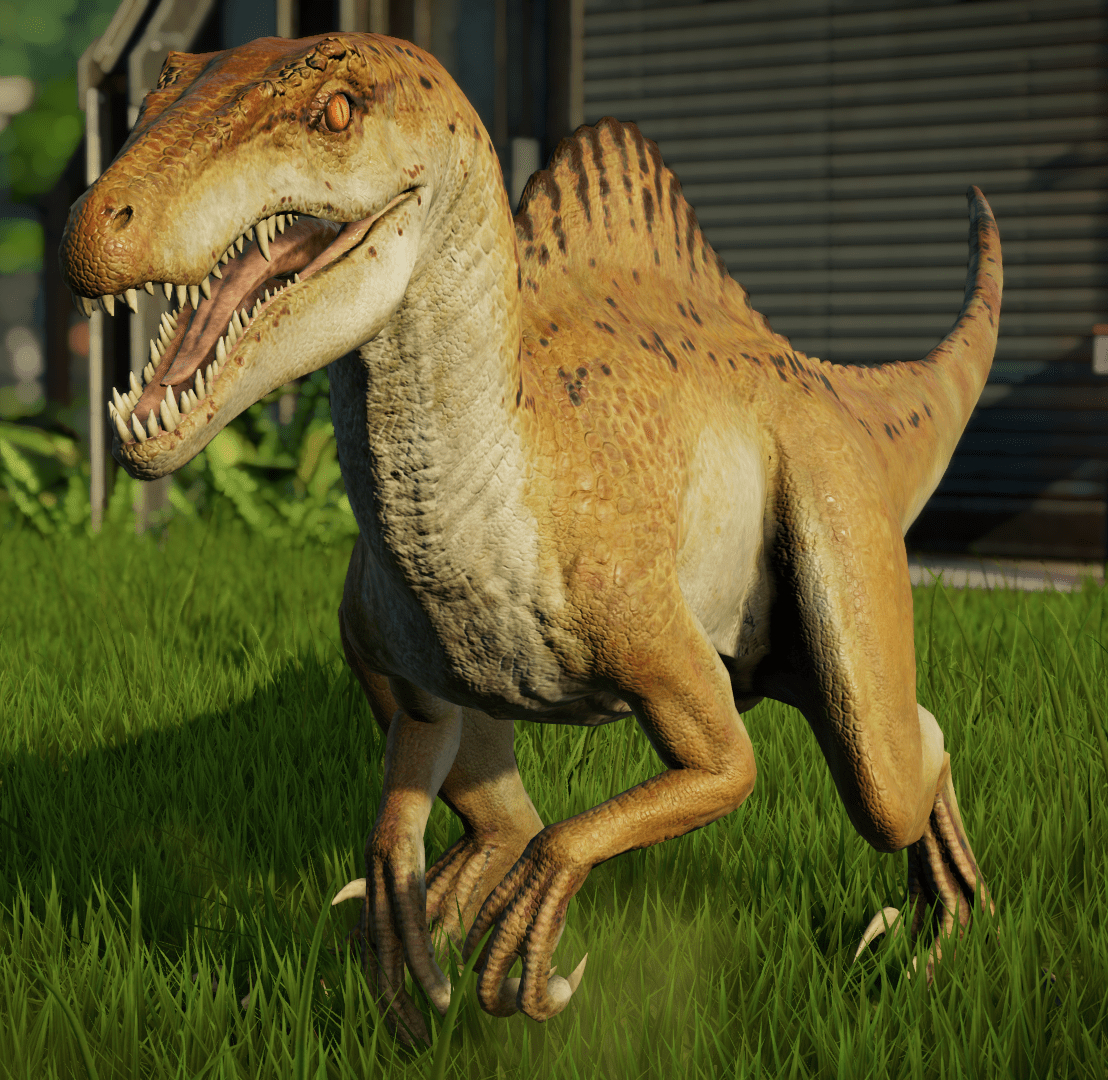 Spinoraptor, Jurassic World, Evolution, prähistorische, Kreaturen, 1110x1080 HD Desktop