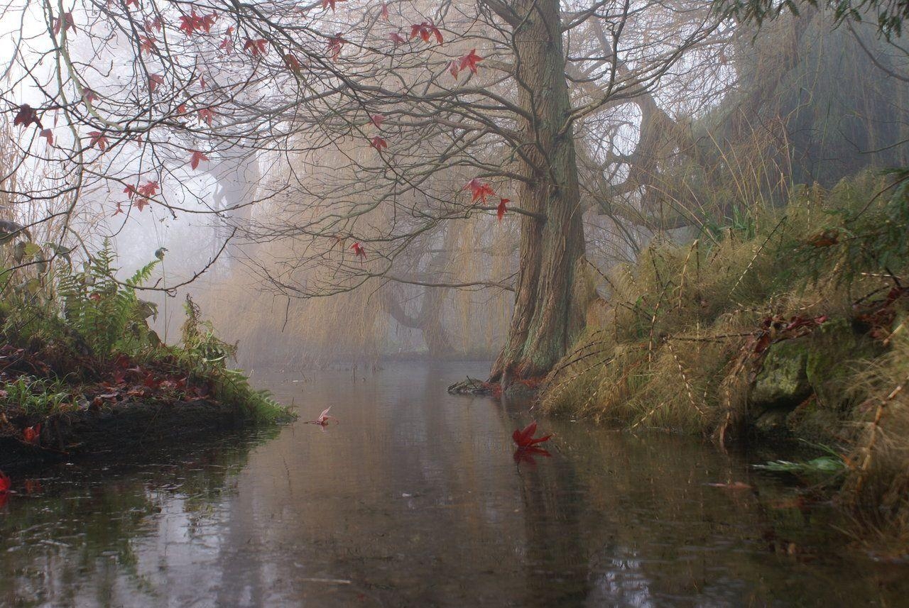 Cambridge Botanischer Garten, Natur, Reisen, England, Universität, 1280x860 HD Desktop