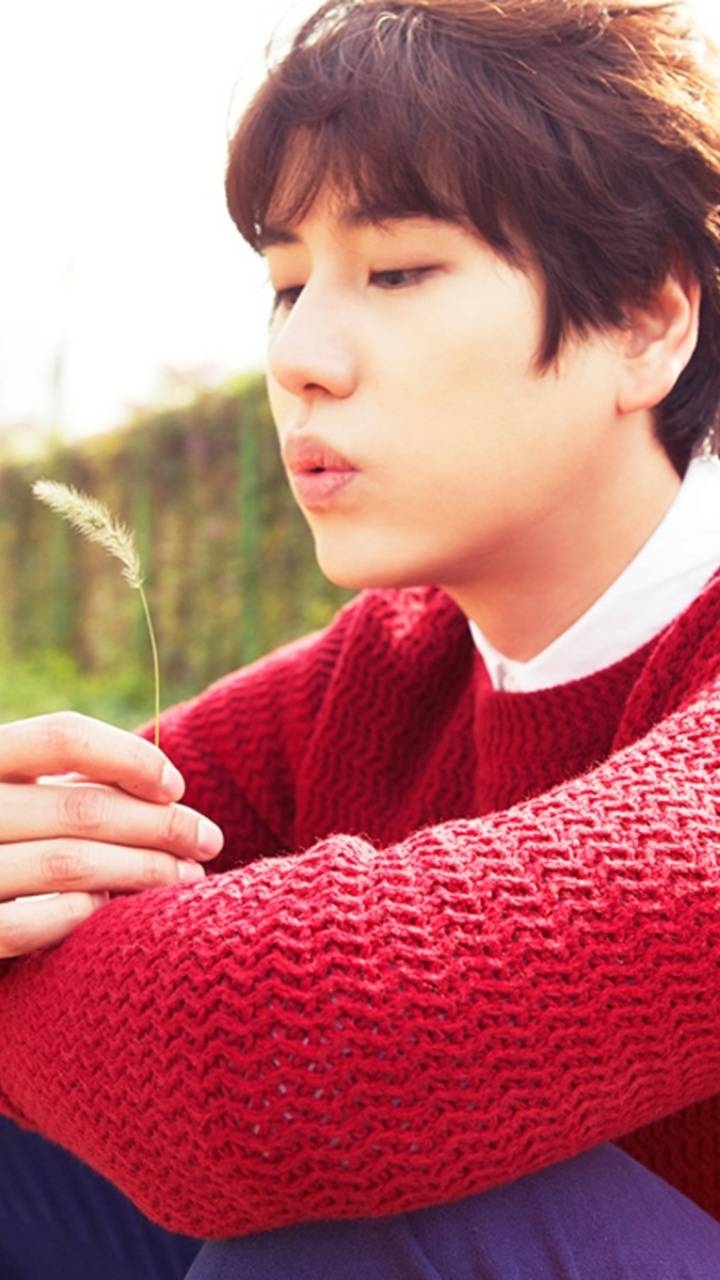 Kyuhyun, Bild, Musik, Wallpaper, Sänger, 720x1280 HD Handy