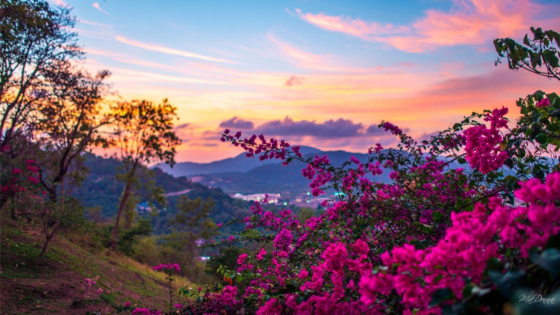 Frühling, Natur, Landschaft, Saison, HD, 1920x1080 Full HD Desktop