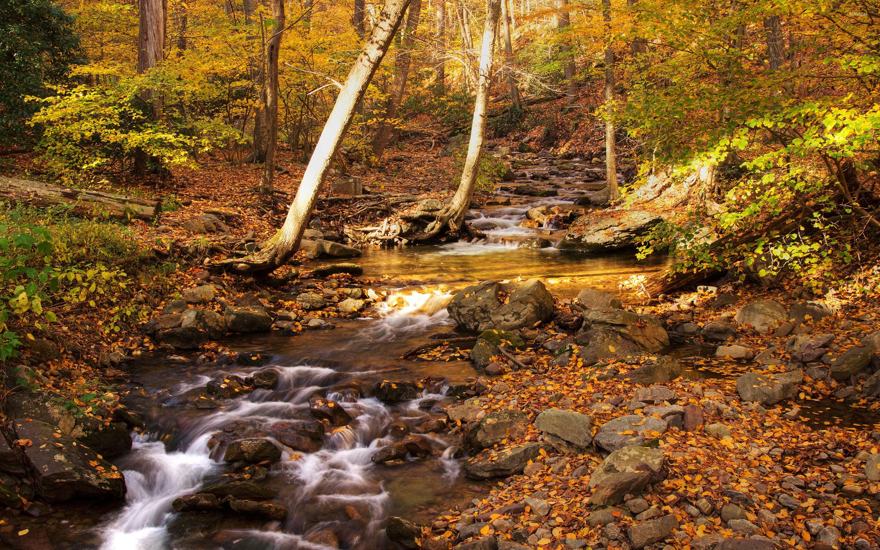 Delaware, Wasserlücke, Natur, Wallpaper, Reise, 2880x1800 HD Desktop