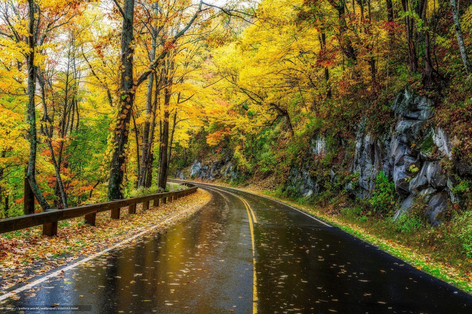 Great Smoky Mountains, USA, Park, Natur, Hintergrund, 1600x1070 HD Desktop