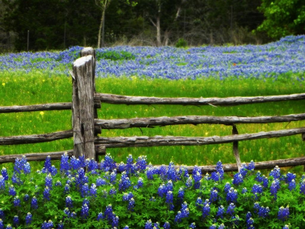 Texas Hill Country, Willow City Loop, Fahrräder, Straße, Natur, 1030x770 HD Desktop