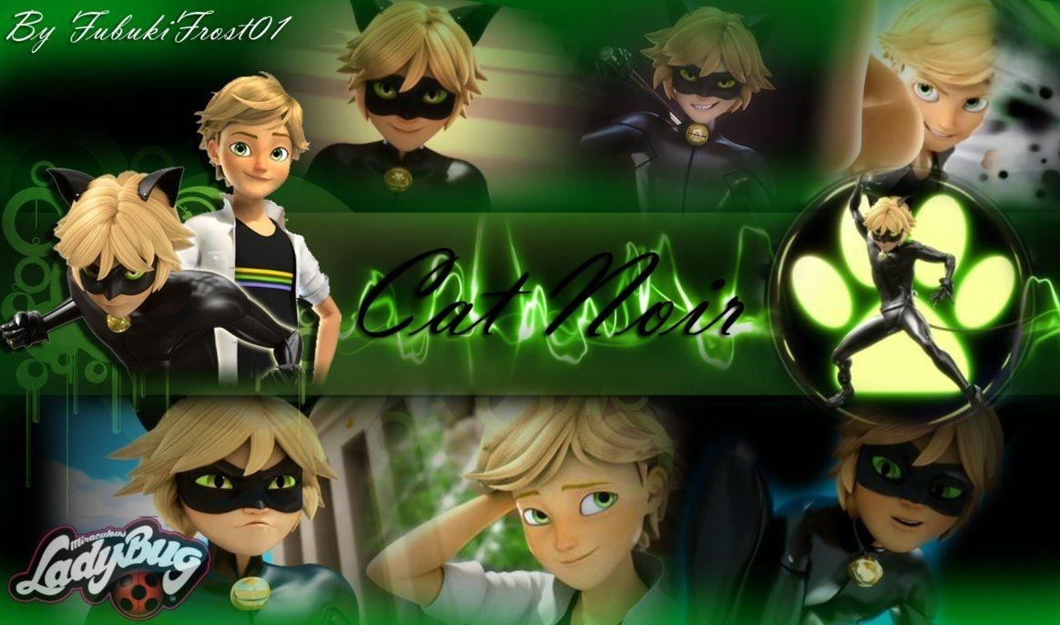 Ladybug, Cat Noir, Cartoons, beste, zeichentrickserie, 1170x690 HD Desktop