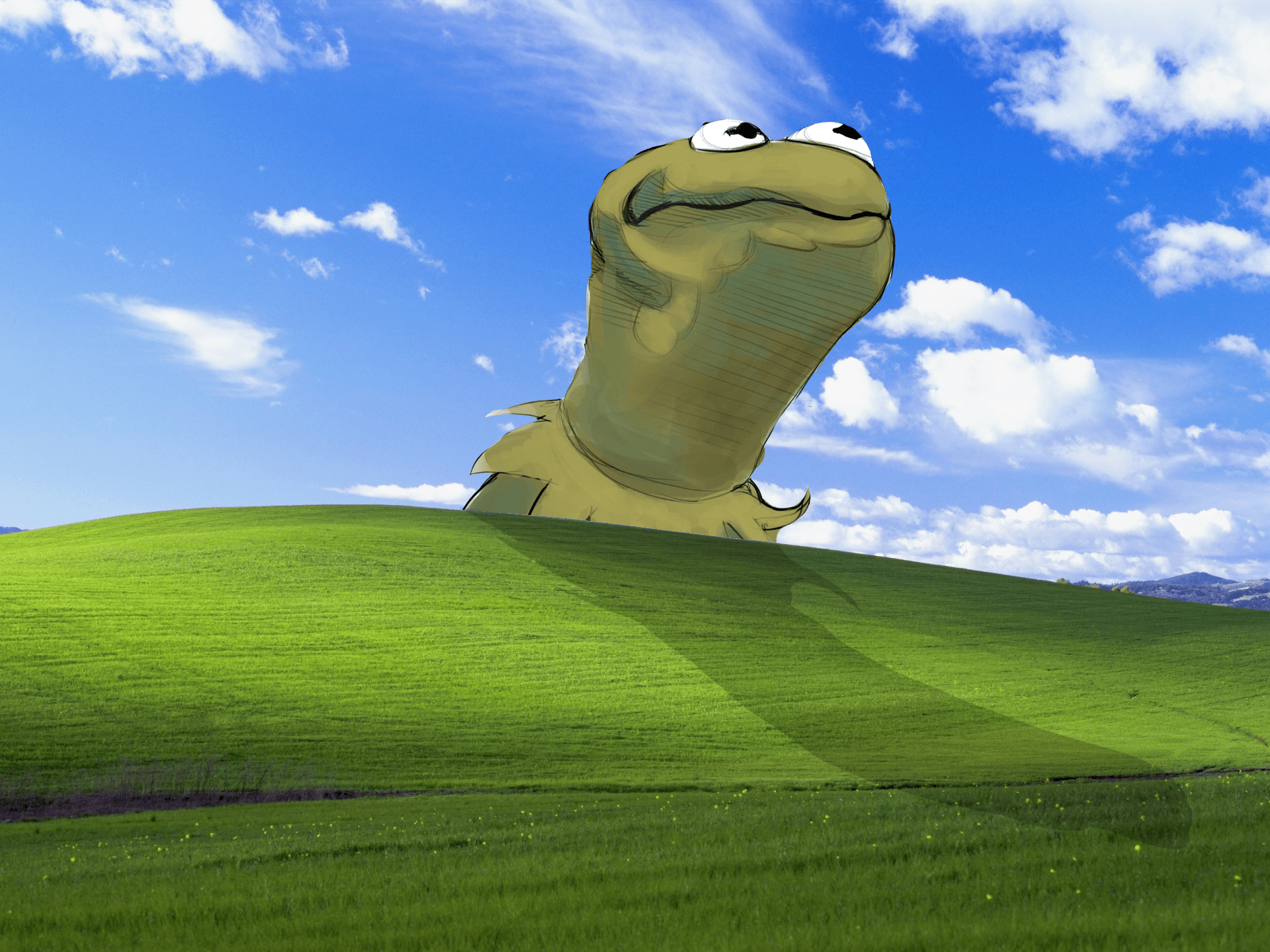 Kermit der Frosch, Favorit, Hintergrund, Bliss, Windows XP, 1920x1440 HD Desktop