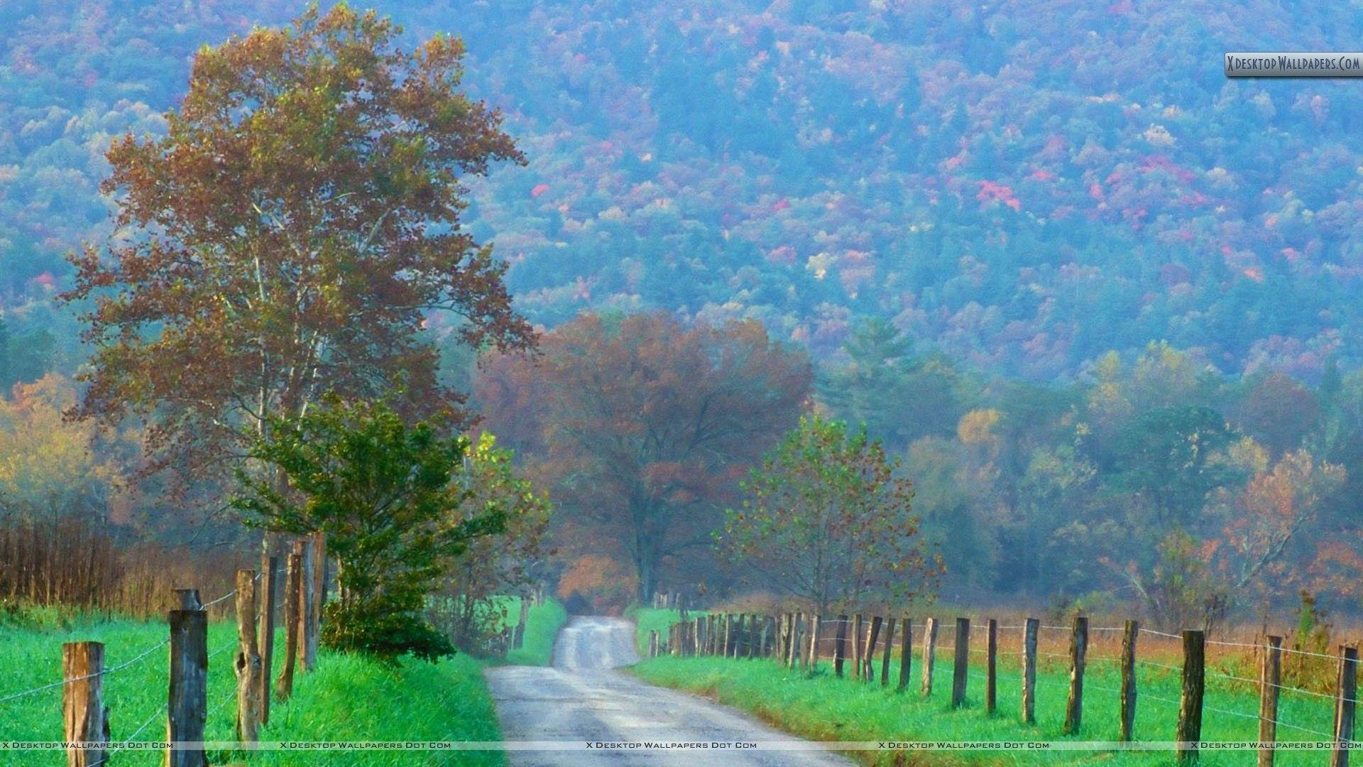 Cades Cove, TN, Remaxreps, Parks, Nationalparks, 1920x1080 Full HD Desktop