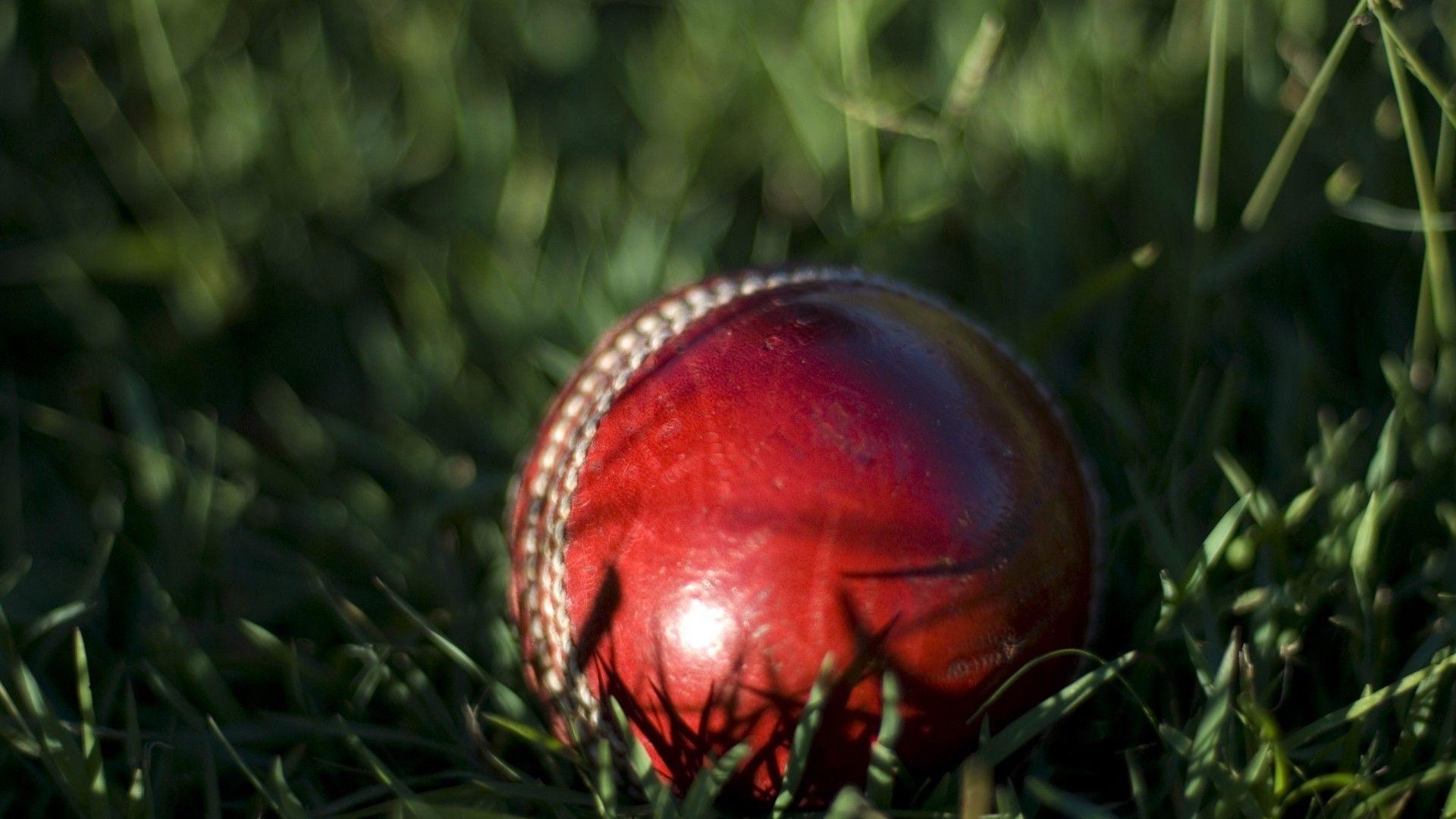 Cricket, Beste, Frei, Herunterladen, UGorg, 1920x1080 Full HD Desktop